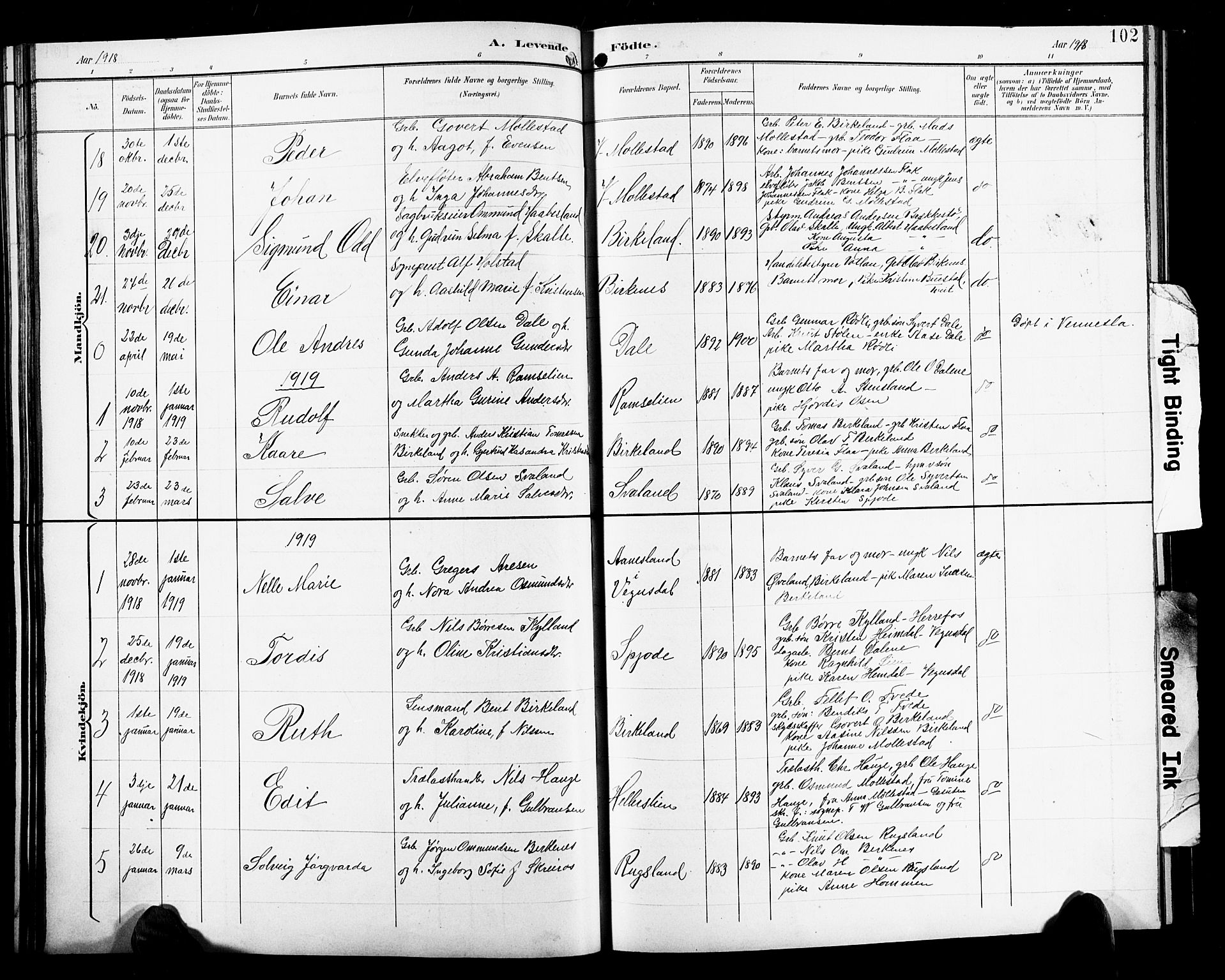 Birkenes sokneprestkontor, AV/SAK-1111-0004/F/Fb/L0004: Klokkerbok nr. B 4, 1893-1930, s. 102