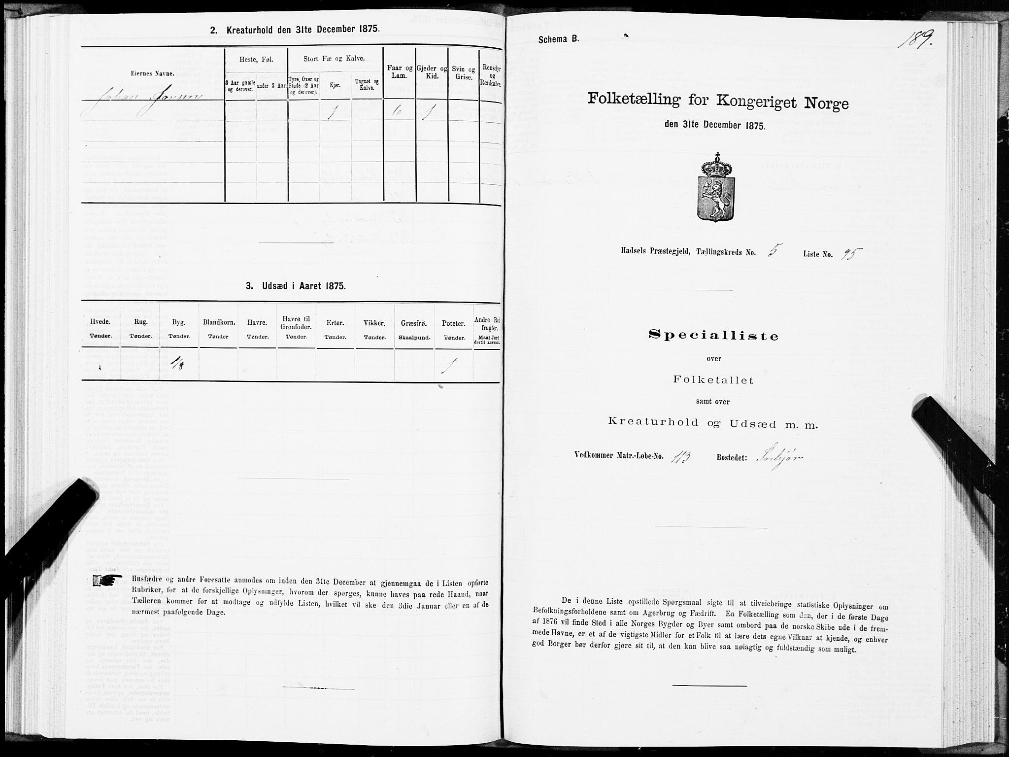 SAT, Folketelling 1875 for 1866P Hadsel prestegjeld, 1875, s. 3189