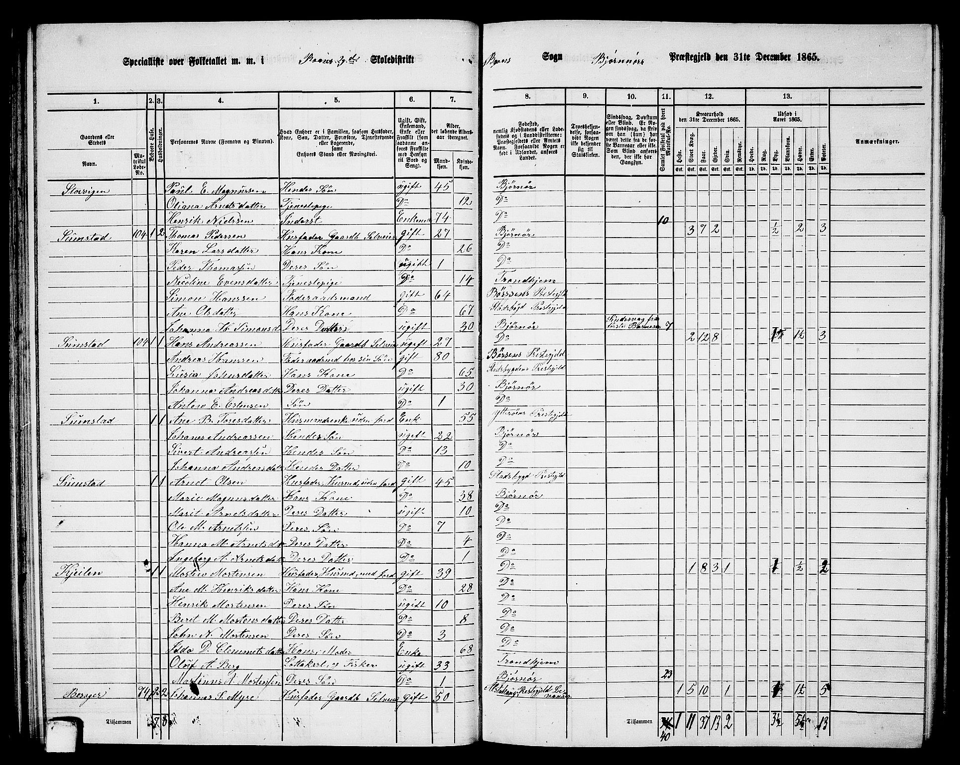 RA, Folketelling 1865 for 1632P Bjørnør prestegjeld, 1865, s. 65
