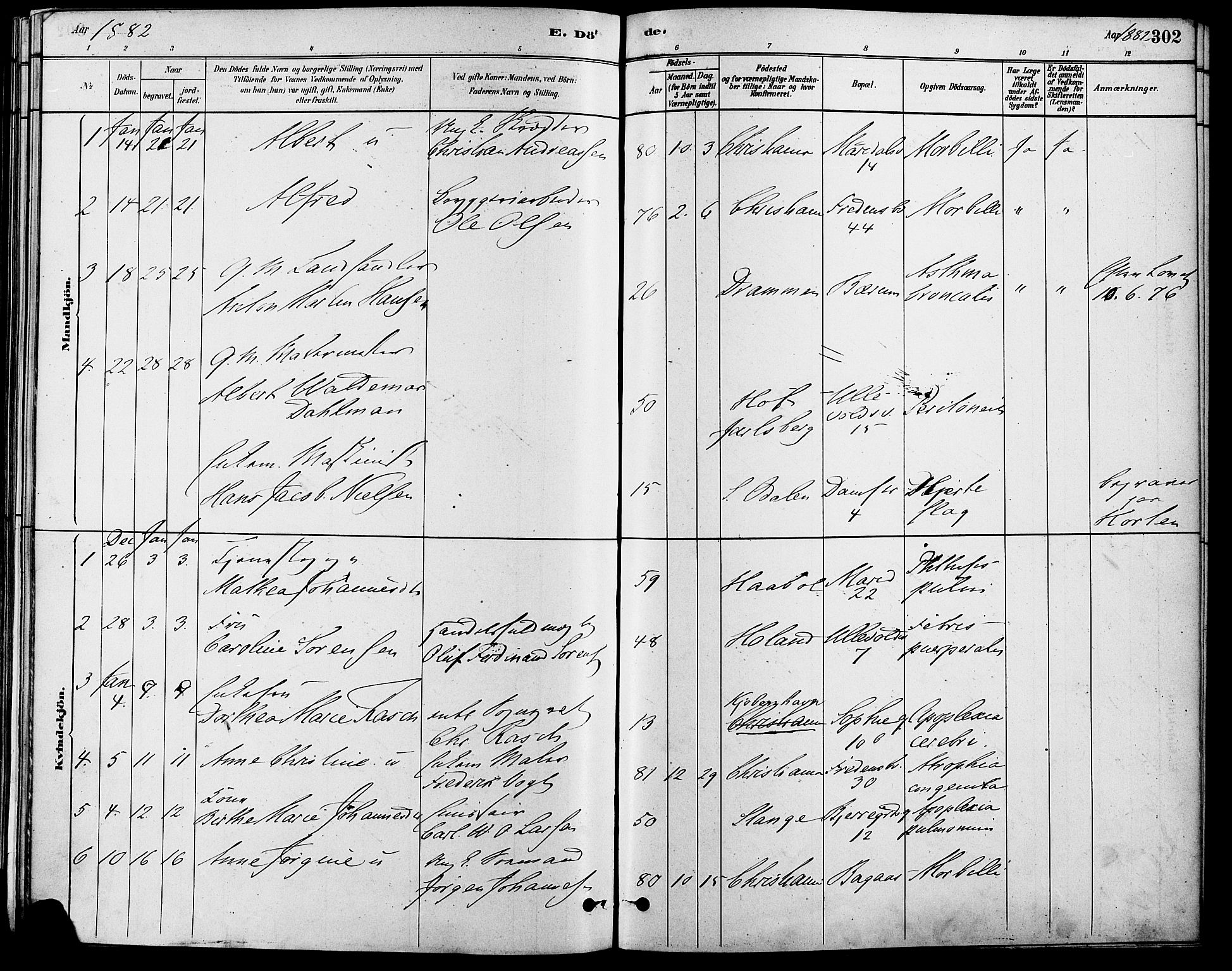 Gamle Aker prestekontor Kirkebøker, SAO/A-10617a/F/L0006: Ministerialbok nr. 6, 1880-1887, s. 302