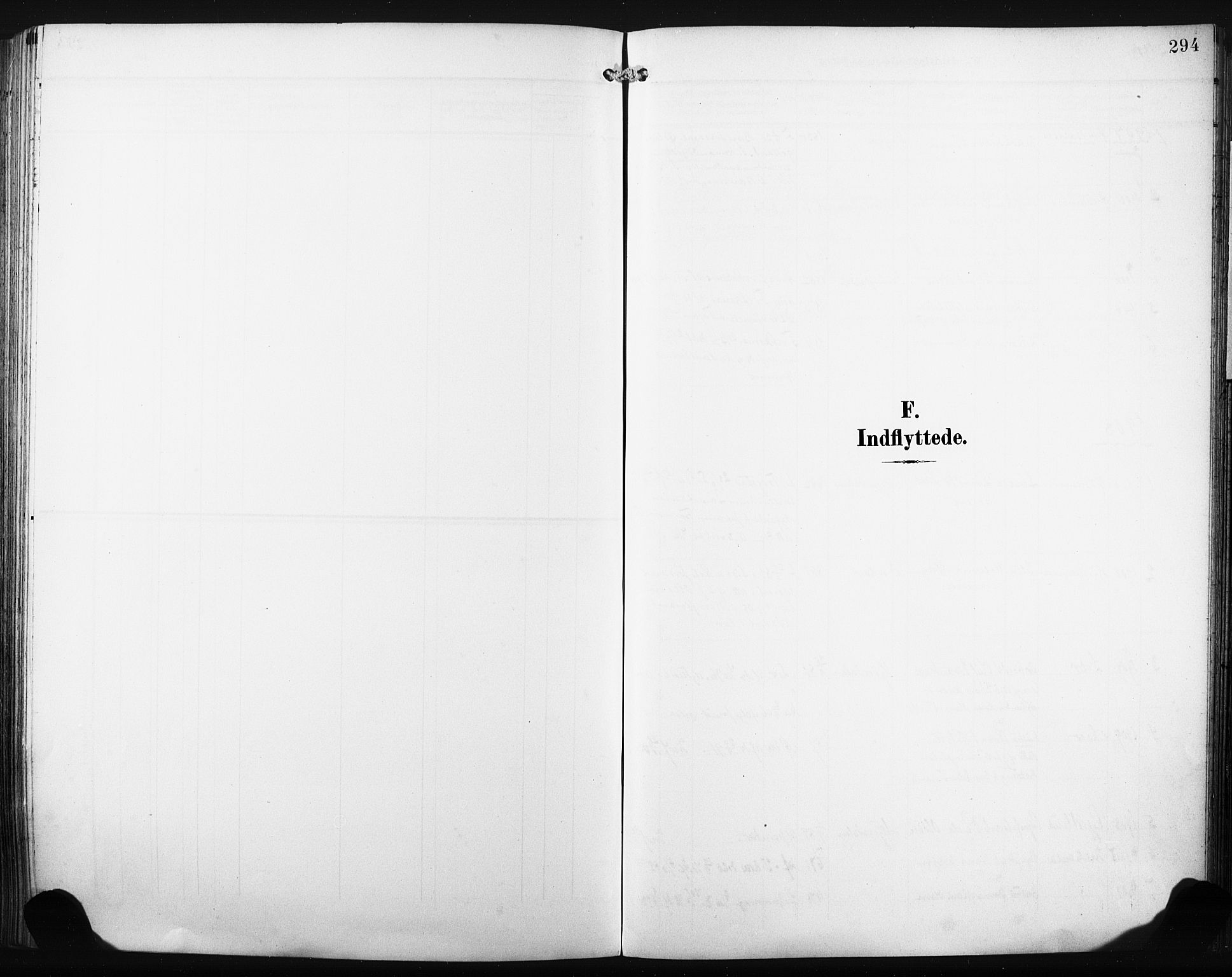 Nedre Eiker kirkebøker, SAKO/A-612/F/Fa/L0006: Ministerialbok nr. 6, 1906-1912, s. 294
