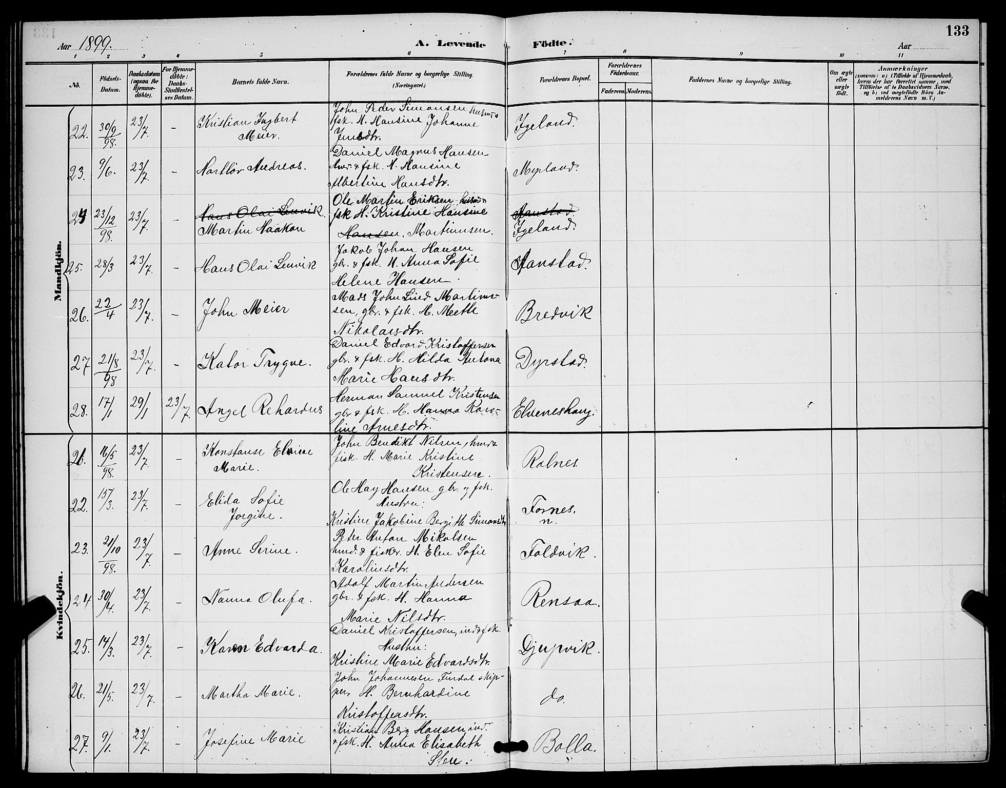 Ibestad sokneprestembete, AV/SATØ-S-0077/H/Ha/Hab/L0008klokker: Klokkerbok nr. 8, 1890-1903, s. 133