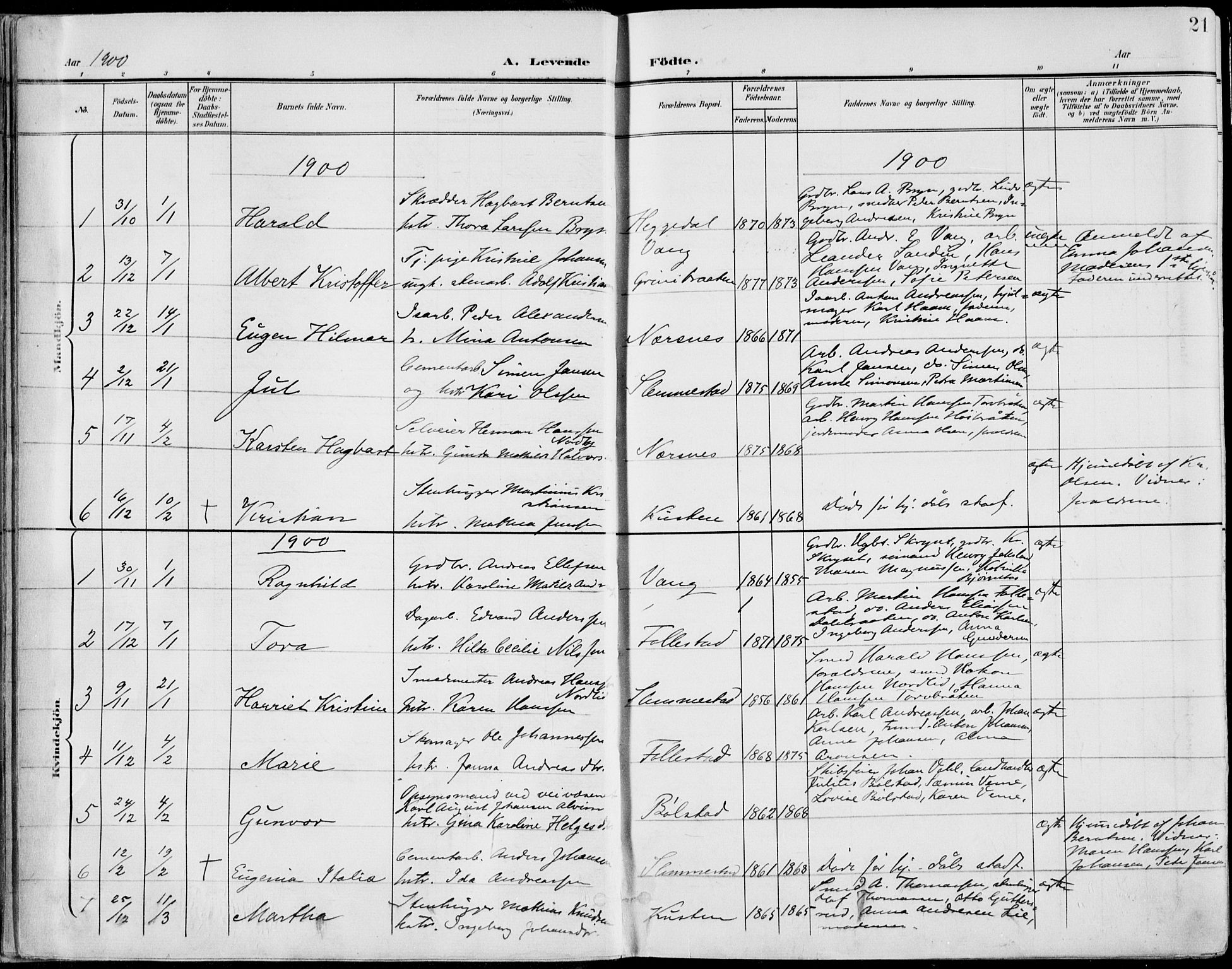Røyken kirkebøker, AV/SAKO-A-241/F/Fa/L0009: Ministerialbok nr. 9, 1898-1911, s. 21