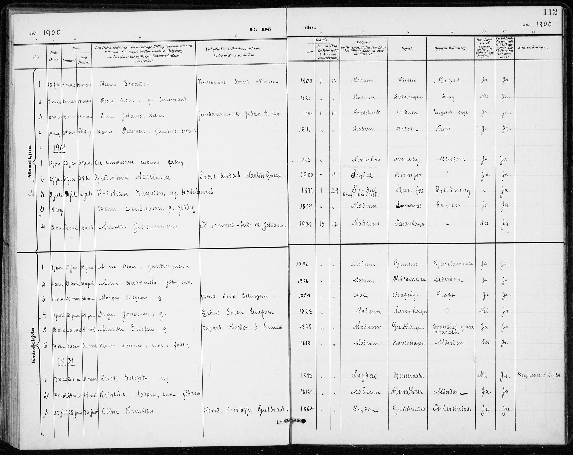 Modum kirkebøker, AV/SAKO-A-234/F/Fa/L0020: Ministerialbok nr. 20, 1900-1917, s. 112