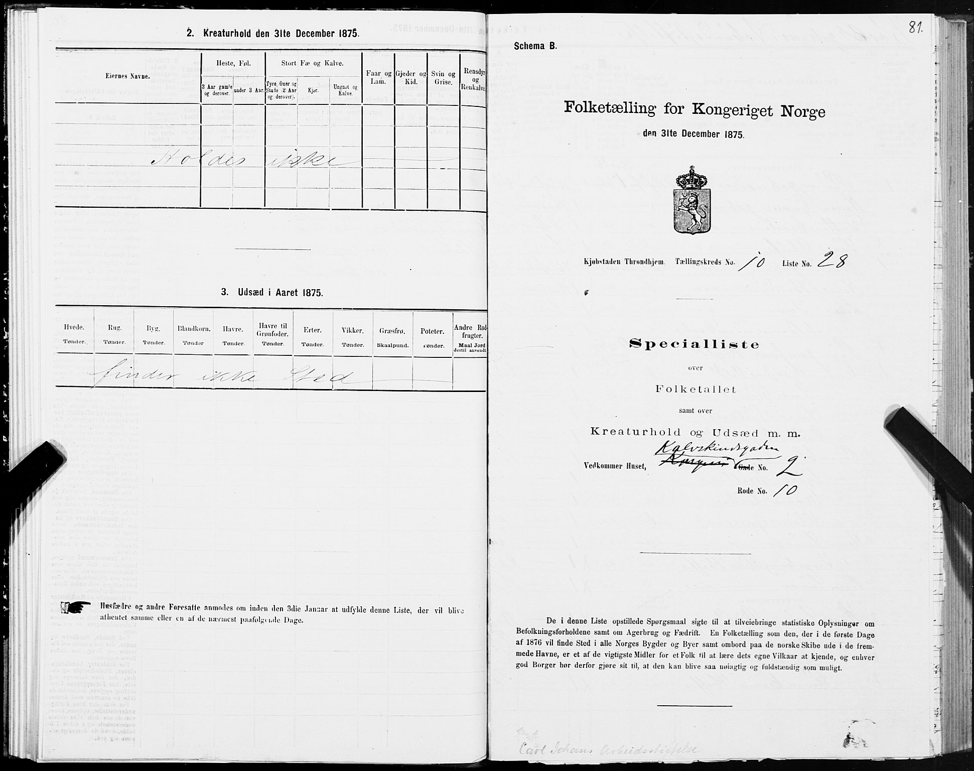 SAT, Folketelling 1875 for 1601 Trondheim kjøpstad, 1875, s. 6081