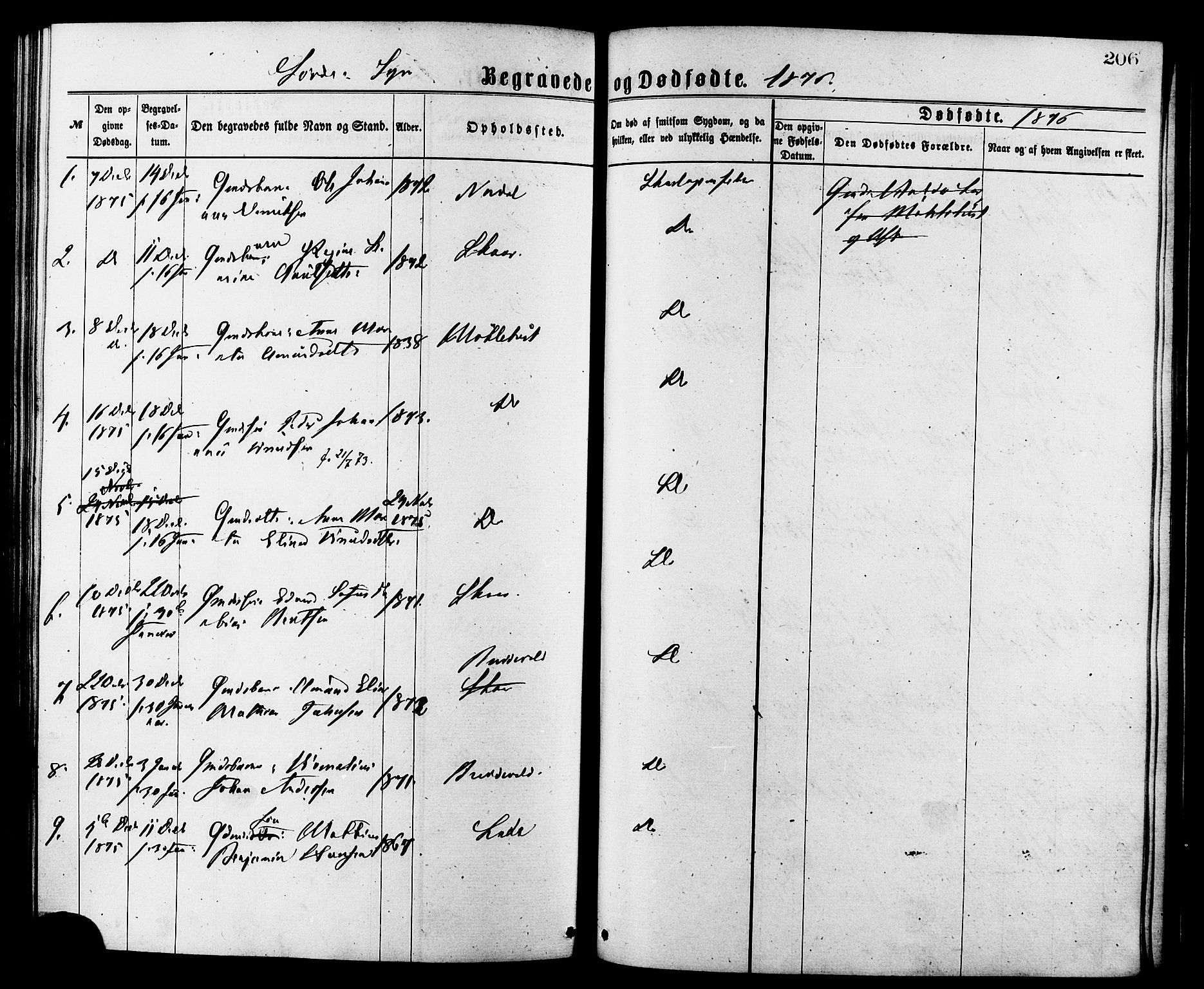 Ministerialprotokoller, klokkerbøker og fødselsregistre - Møre og Romsdal, AV/SAT-A-1454/502/L0024: Ministerialbok nr. 502A02, 1873-1884, s. 206