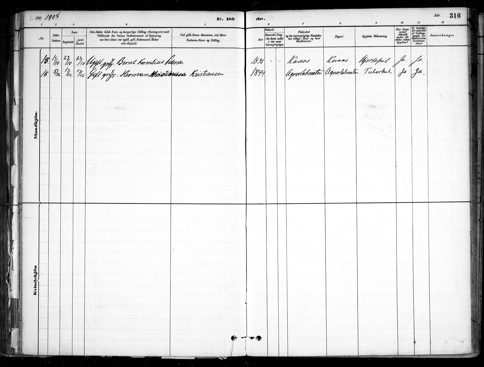 Nesodden prestekontor Kirkebøker, AV/SAO-A-10013/F/Fa/L0009: Ministerialbok nr. I 9, 1880-1915, s. 316