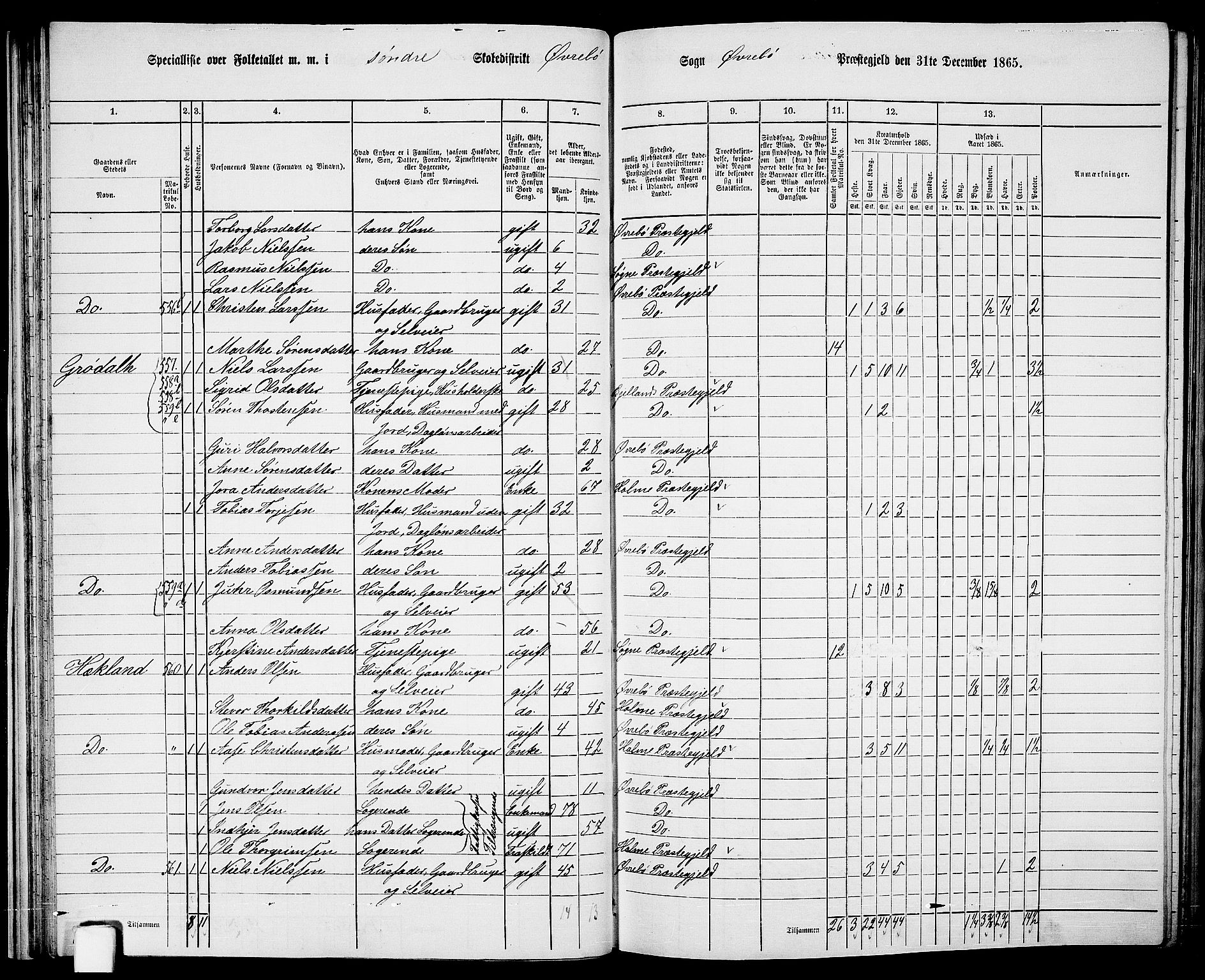 RA, Folketelling 1865 for 1016P Øvrebø prestegjeld, 1865, s. 43