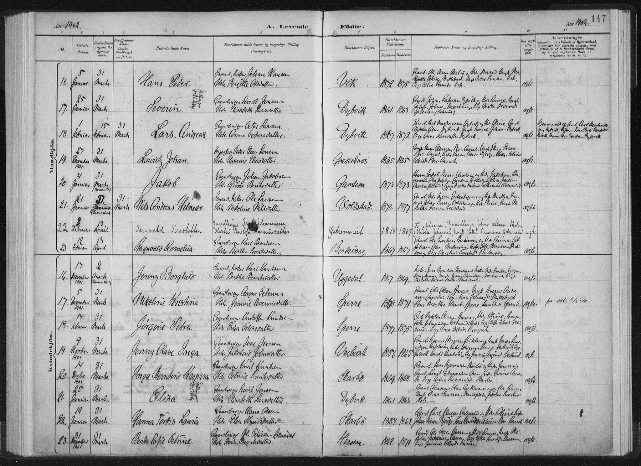 Ministerialprotokoller, klokkerbøker og fødselsregistre - Møre og Romsdal, AV/SAT-A-1454/528/L0405: Ministerialbok nr. 528A14, 1891-1906, s. 147