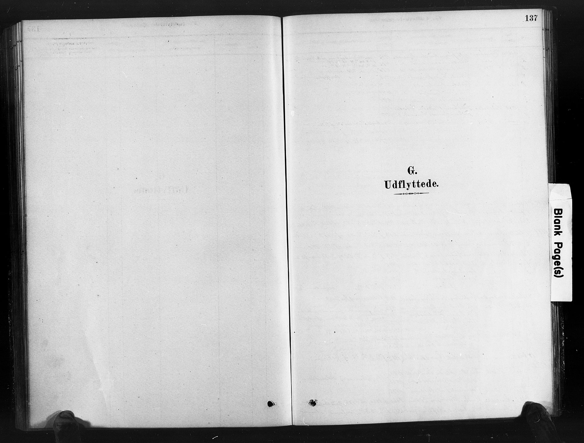 Gjerstad sokneprestkontor, SAK/1111-0014/F/Fa/Fab/L0004: Ministerialbok nr. A 4, 1879-1890, s. 137