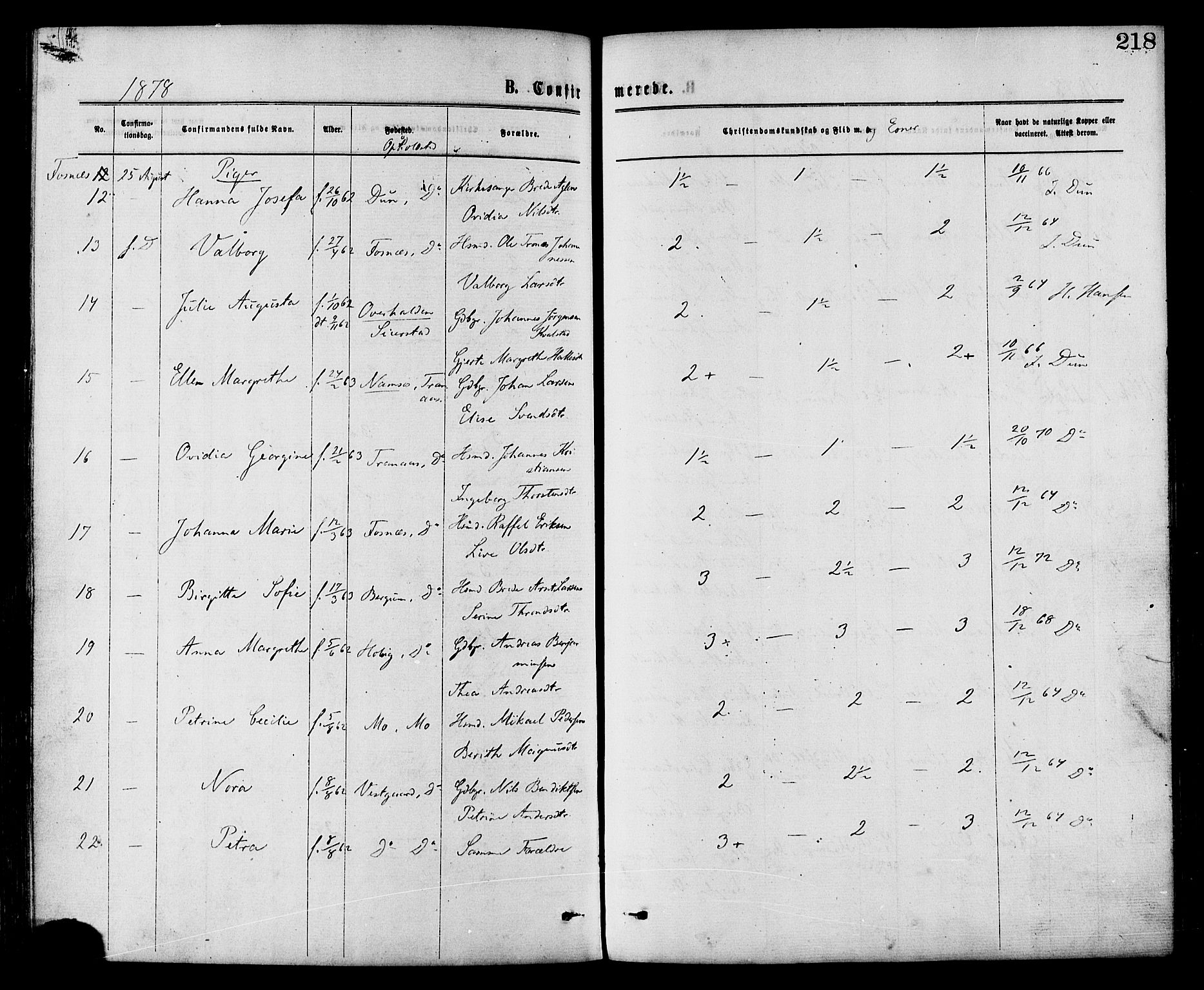 Ministerialprotokoller, klokkerbøker og fødselsregistre - Nord-Trøndelag, AV/SAT-A-1458/773/L0616: Ministerialbok nr. 773A07, 1870-1887, s. 218