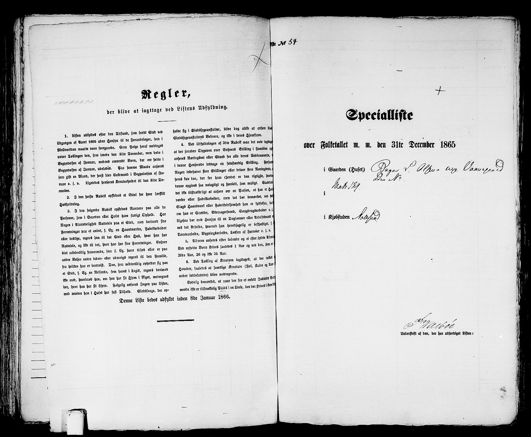 RA, Folketelling 1865 for 1501P Ålesund prestegjeld, 1865, s. 116