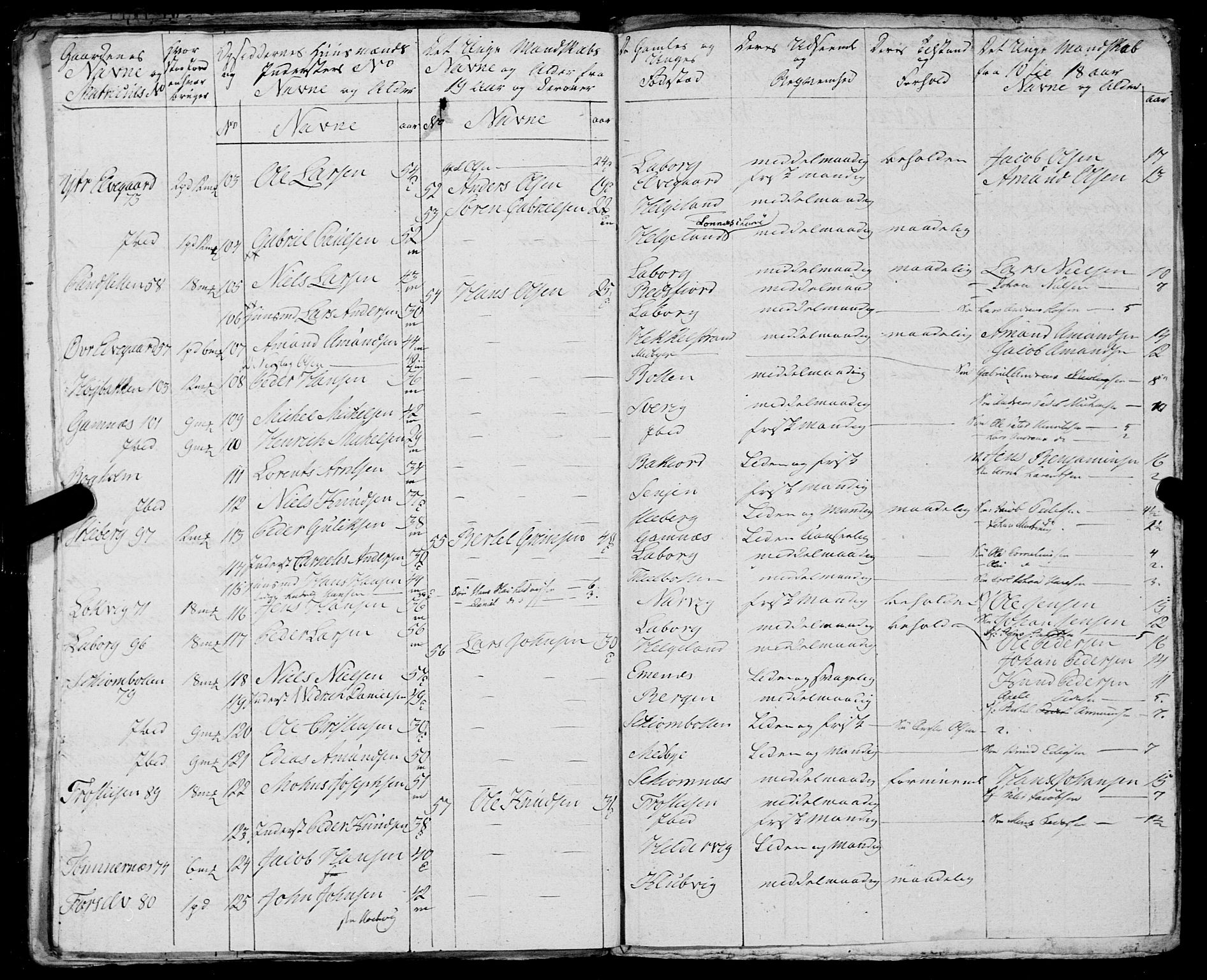 Fylkesmannen i Nordland, SAT/A-0499/1.1/R/Ra/L0023: Innrulleringsmanntall for Ofoten, 1810-1836, s. 285