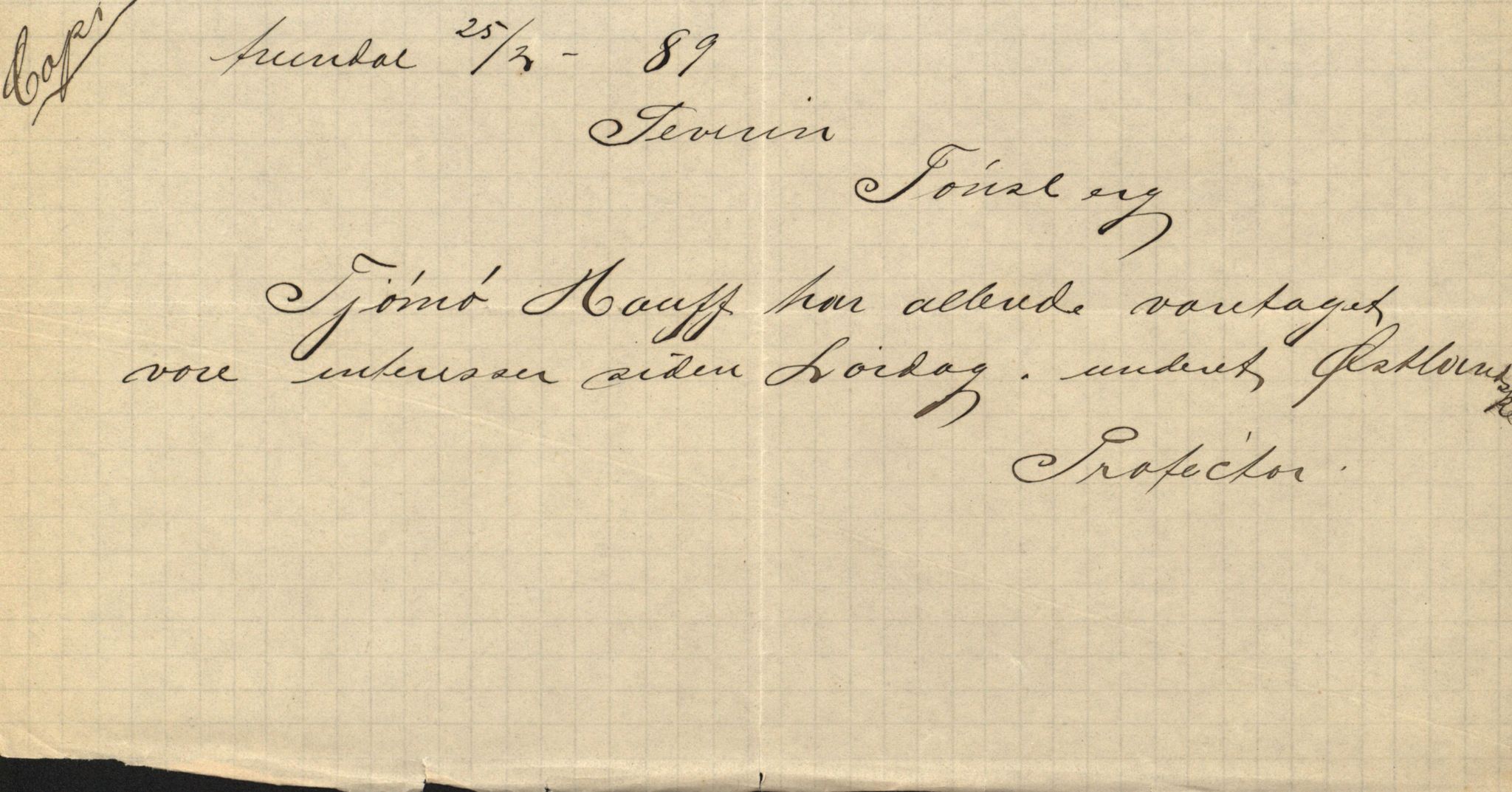 Pa 63 - Østlandske skibsassuranceforening, VEMU/A-1079/G/Ga/L0023/0008: Havaridokumenter / Immanuel, Wilhelm, Tobine, Diaz, Esmeralda, Tjømø, 1889, s. 50