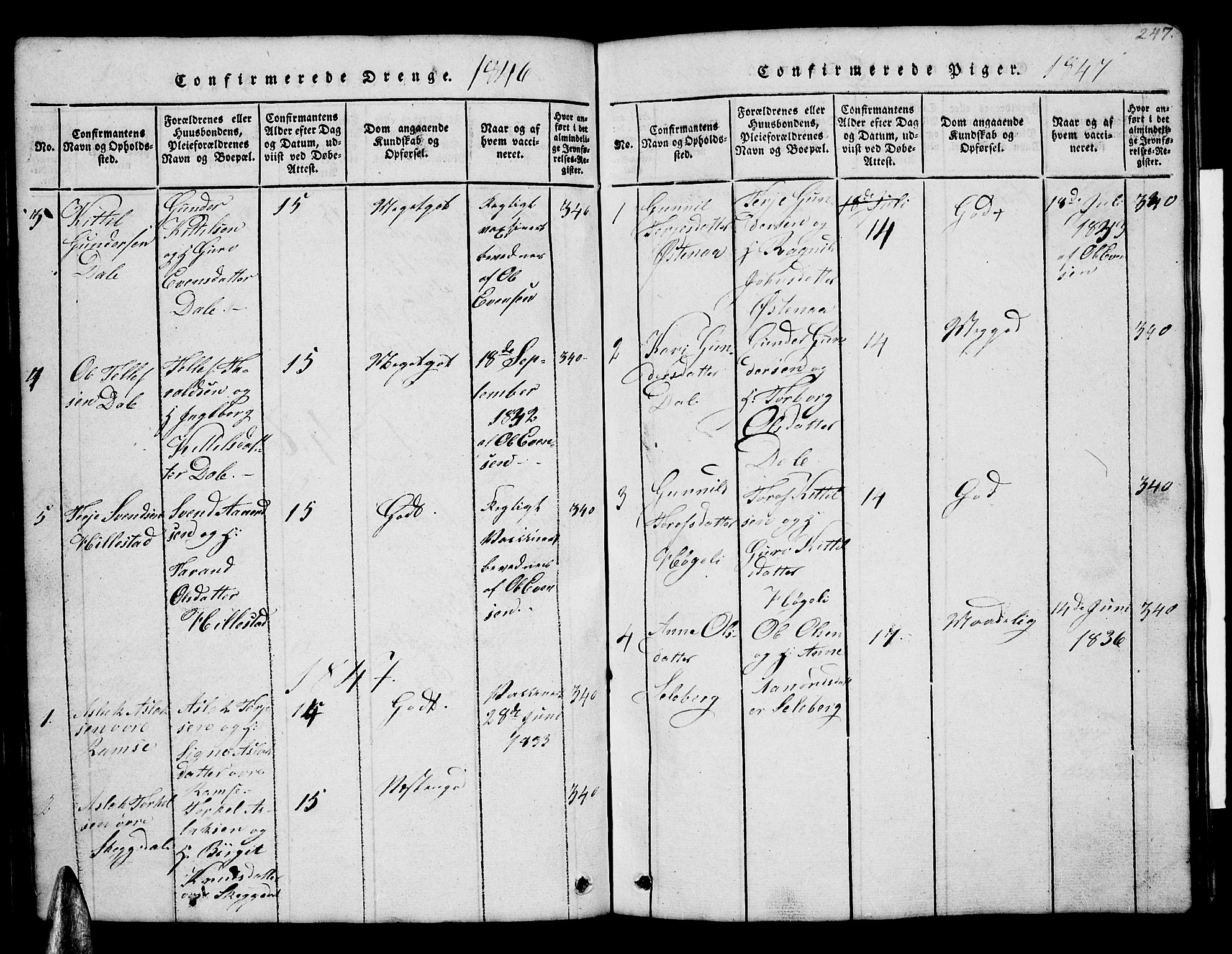 Åmli sokneprestkontor, SAK/1111-0050/F/Fb/Fbb/L0001: Klokkerbok nr. B 1, 1816-1889, s. 247