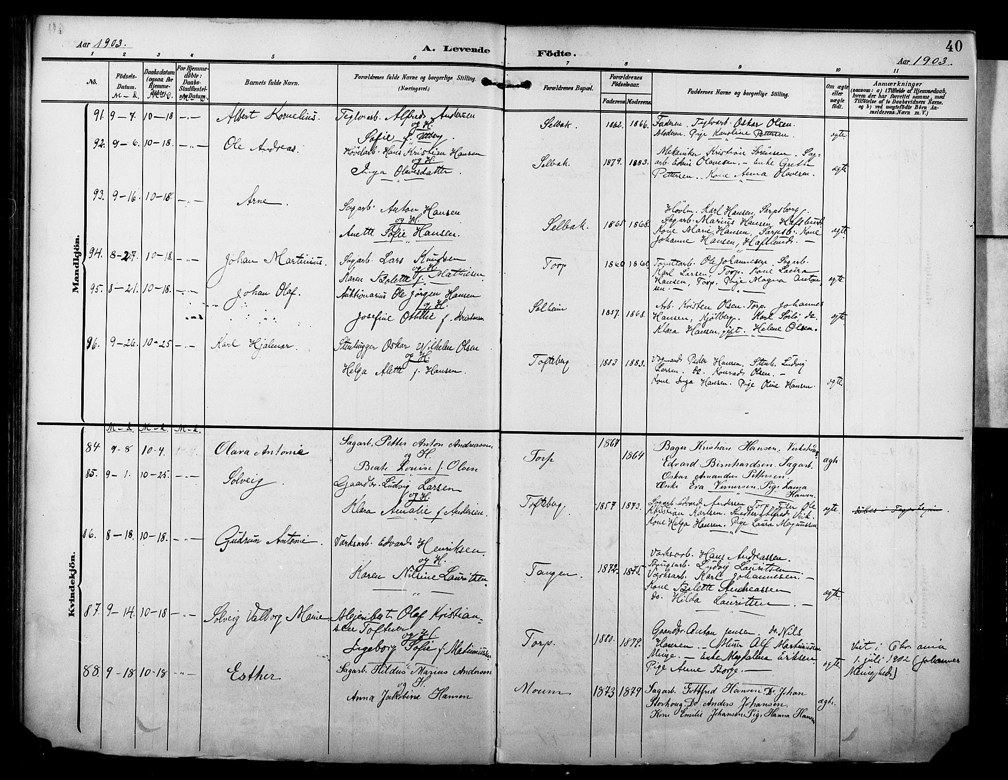 Borge prestekontor Kirkebøker, AV/SAO-A-10903/F/Fa/L0009: Ministerialbok nr. I 9, 1902-1911, s. 40