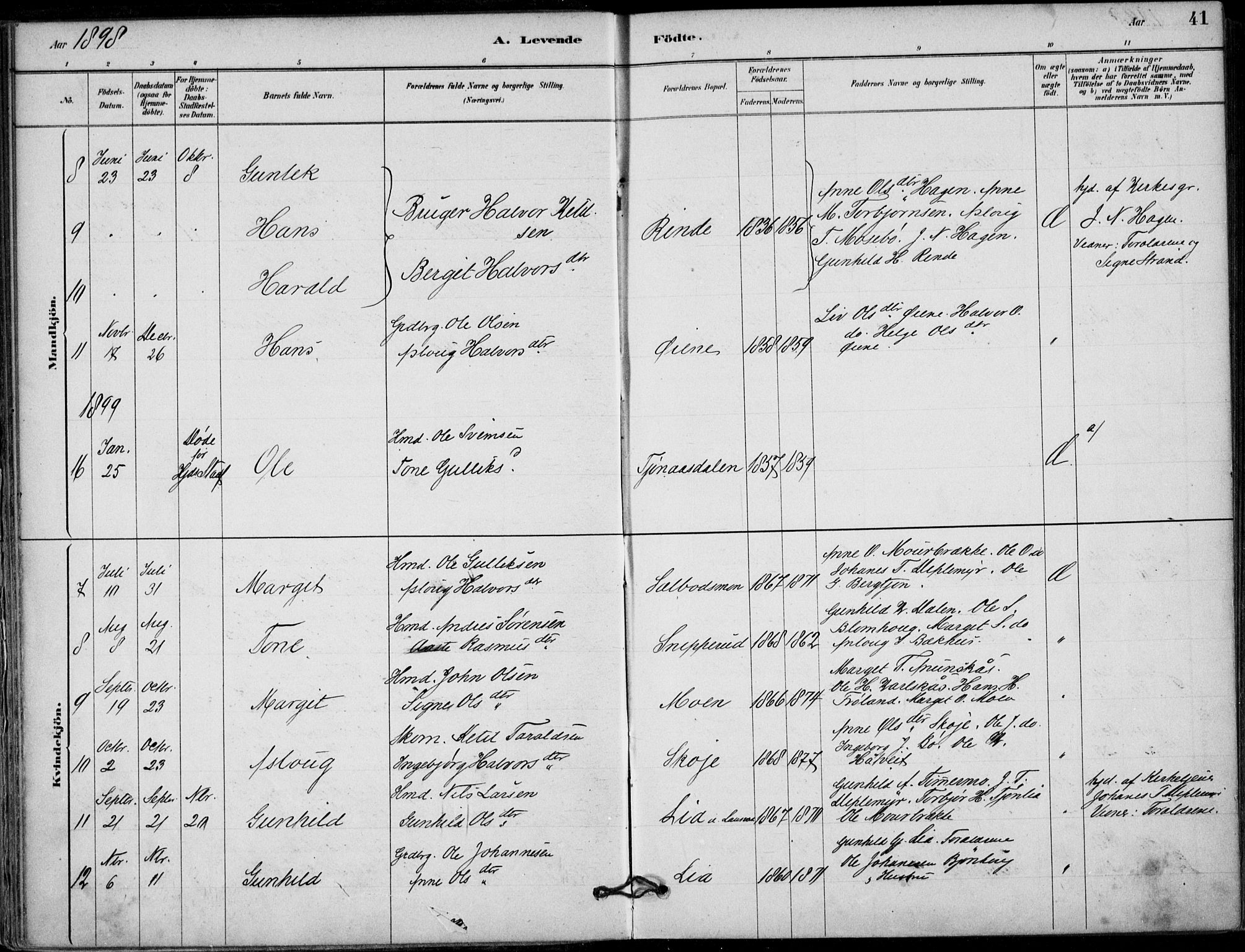 Hjartdal kirkebøker, AV/SAKO-A-270/F/Fb/L0002: Ministerialbok nr. II 2, 1880-1932, s. 41