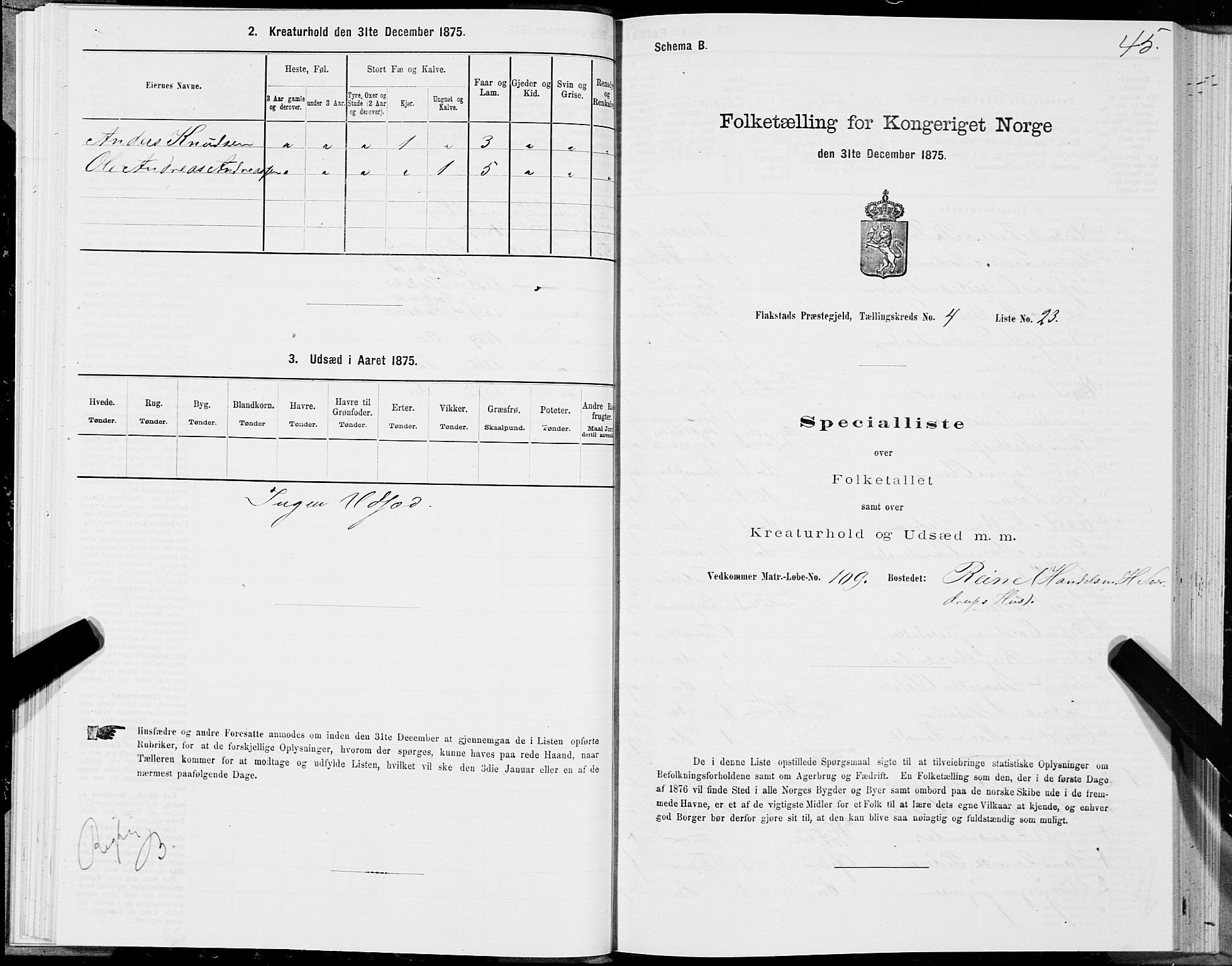 SAT, Folketelling 1875 for 1859P Flakstad prestegjeld, 1875, s. 2045