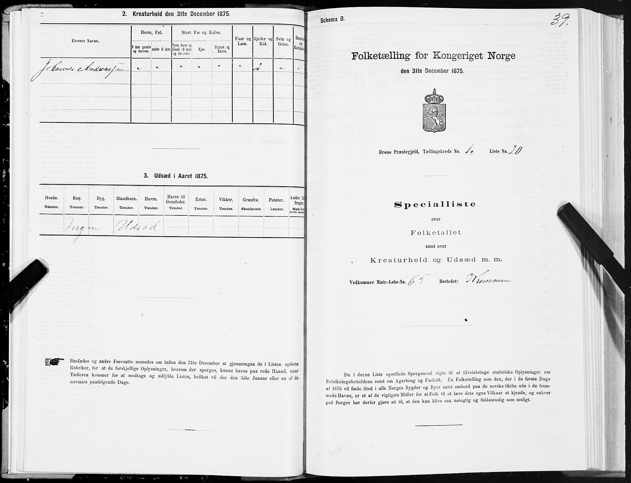 SAT, Folketelling 1875 for 1814P Brønnøy prestegjeld, 1875, s. 1039