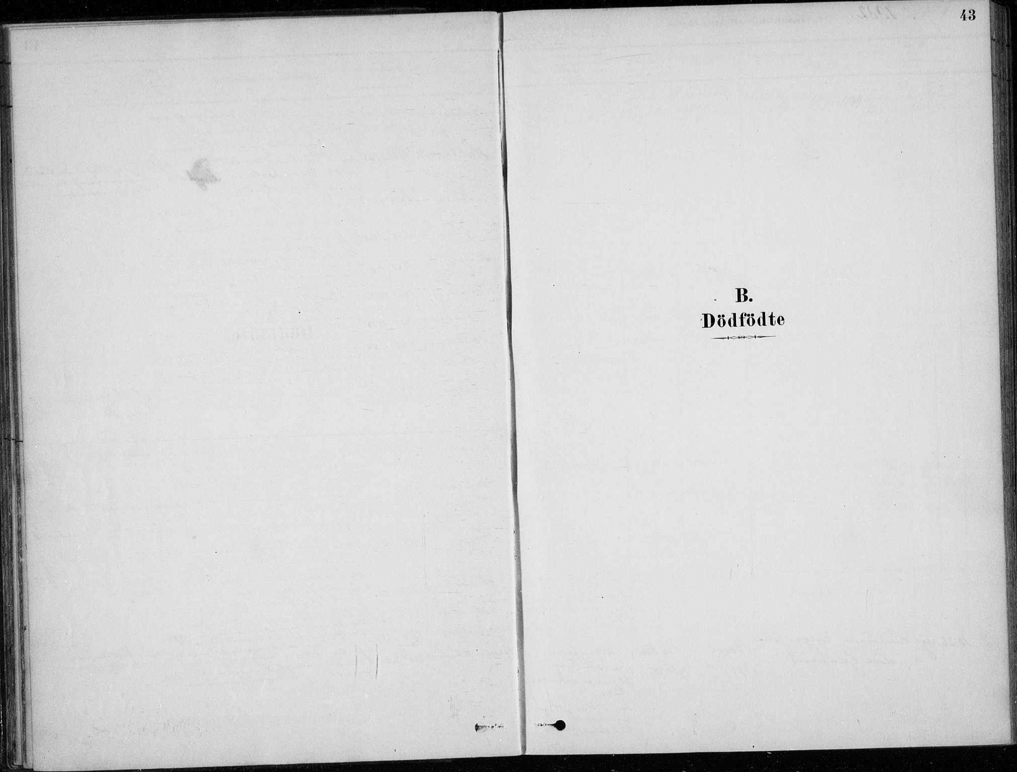 Sigdal kirkebøker, SAKO/A-245/F/Fc/L0001: Ministerialbok nr. III 1, 1879-1893, s. 43