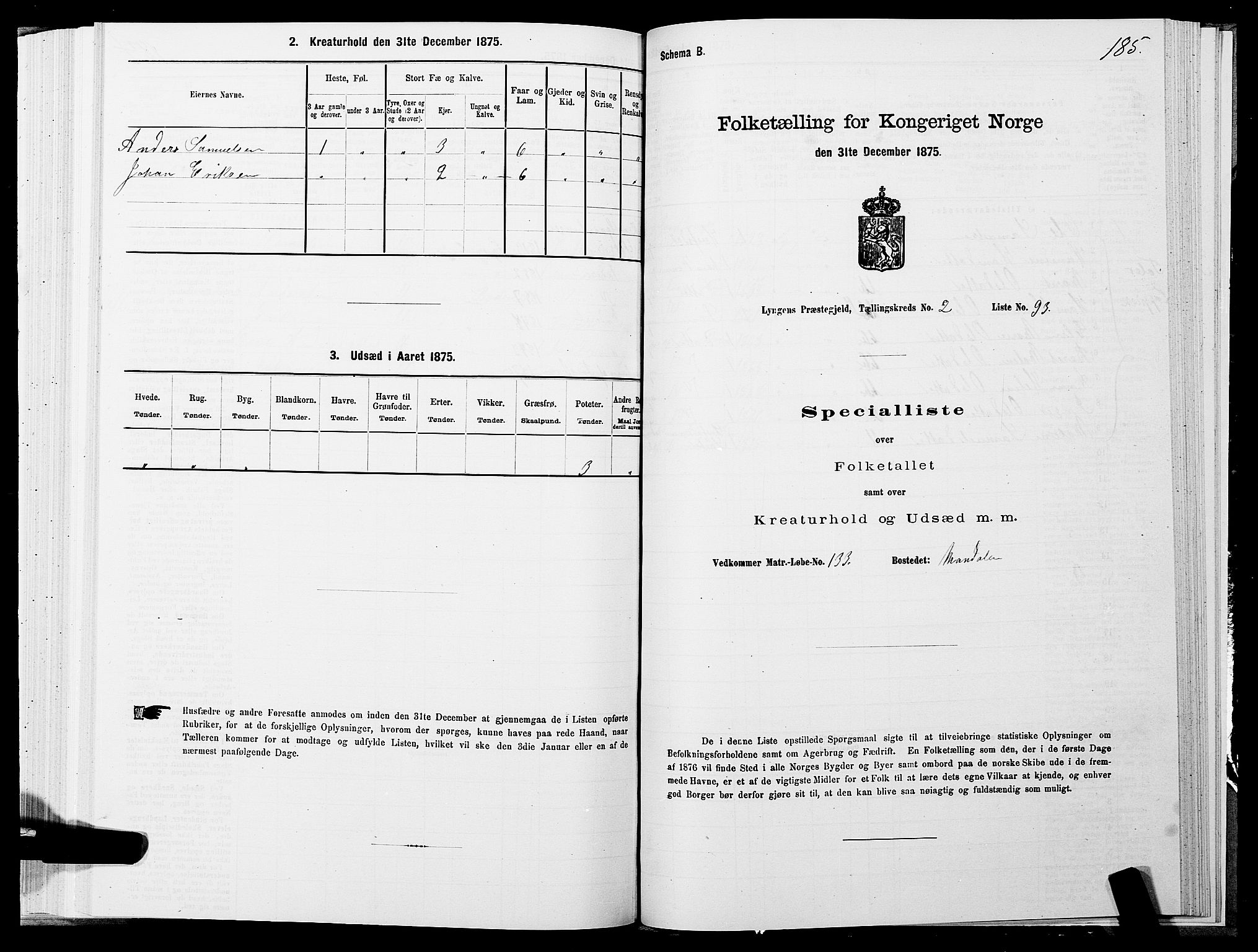 SATØ, Folketelling 1875 for 1938P Lyngen prestegjeld, 1875, s. 2185