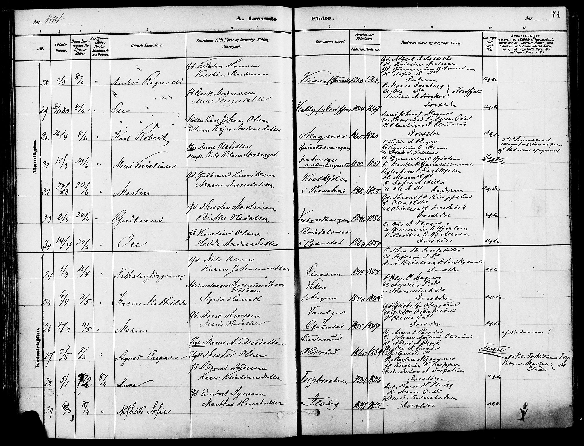 Eidskog prestekontor, AV/SAH-PREST-026/H/Ha/Haa/L0003: Ministerialbok nr. 3, 1879-1892, s. 74