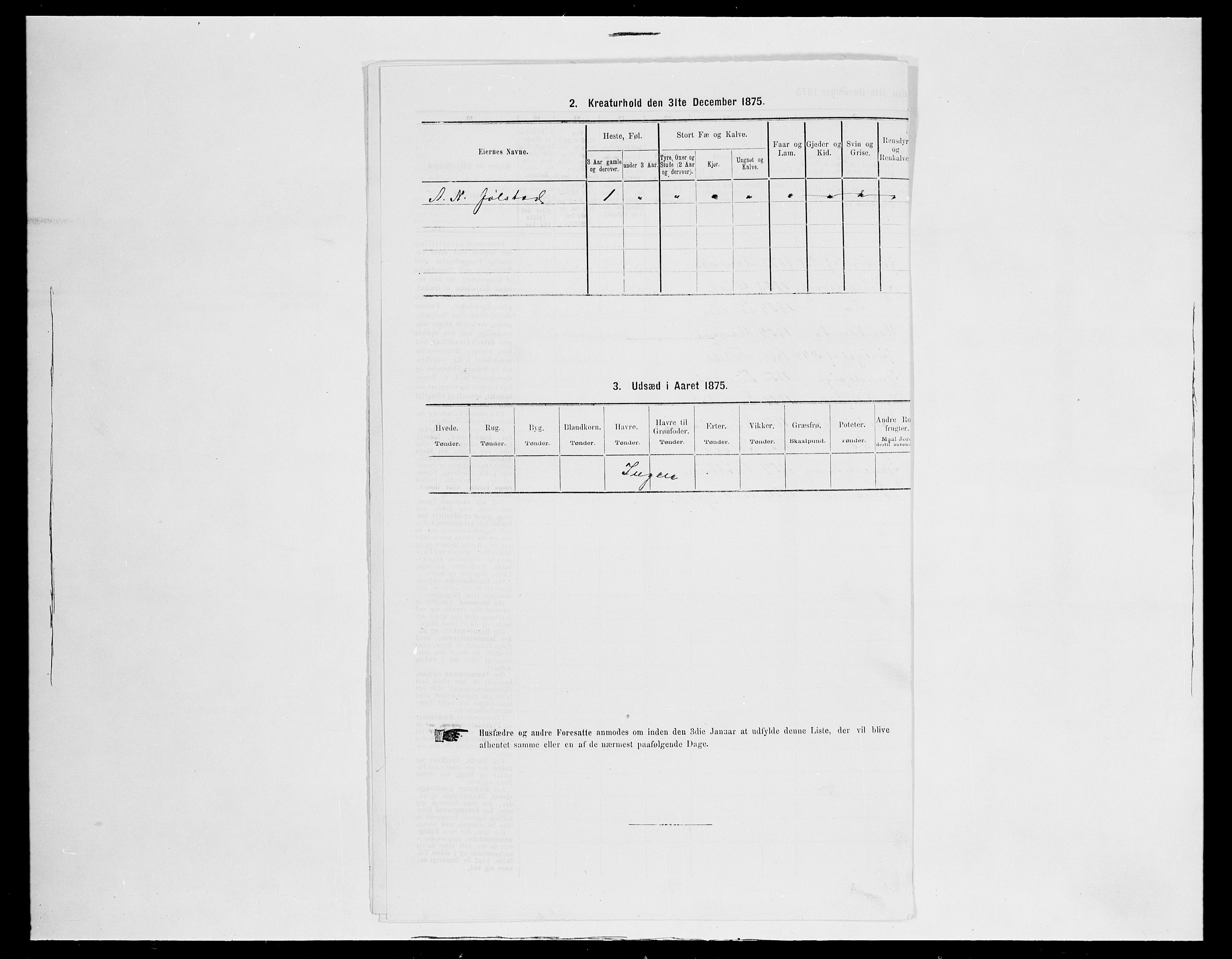 SAH, Folketelling 1875 for 0401B Vang prestegjeld, Hamar kjøpstad, 1875, s. 202