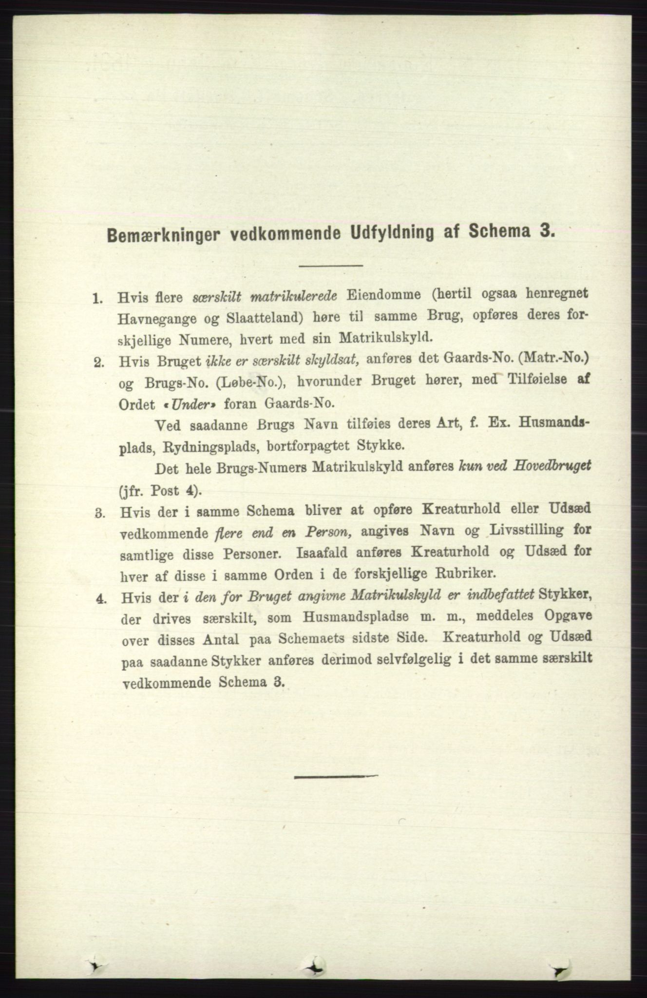 RA, Folketelling 1891 for 0544 Øystre Slidre herred, 1891, s. 1105