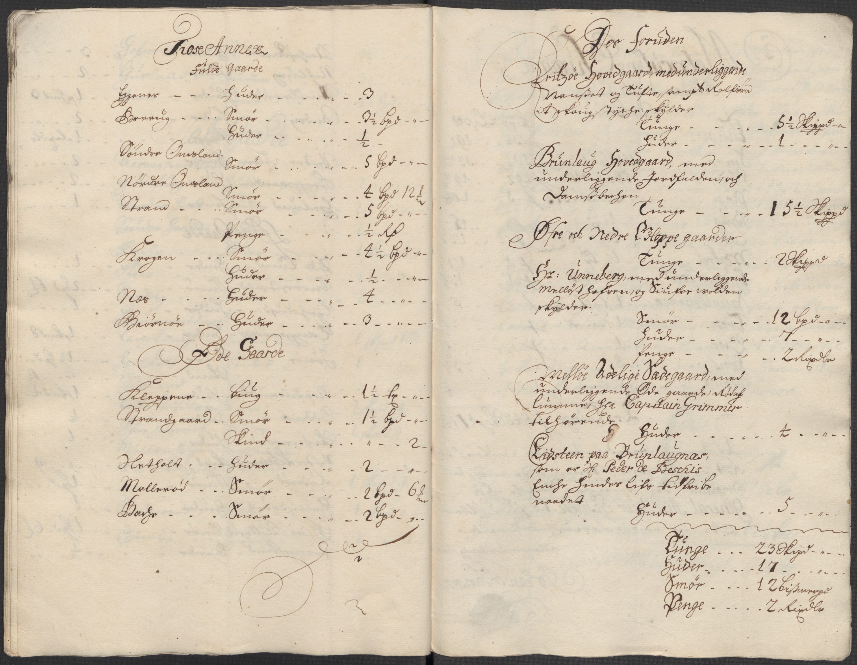 Rentekammeret inntil 1814, Reviderte regnskaper, Fogderegnskap, AV/RA-EA-4092/R33/L1987: Fogderegnskap Larvik grevskap, 1716-1717, s. 373