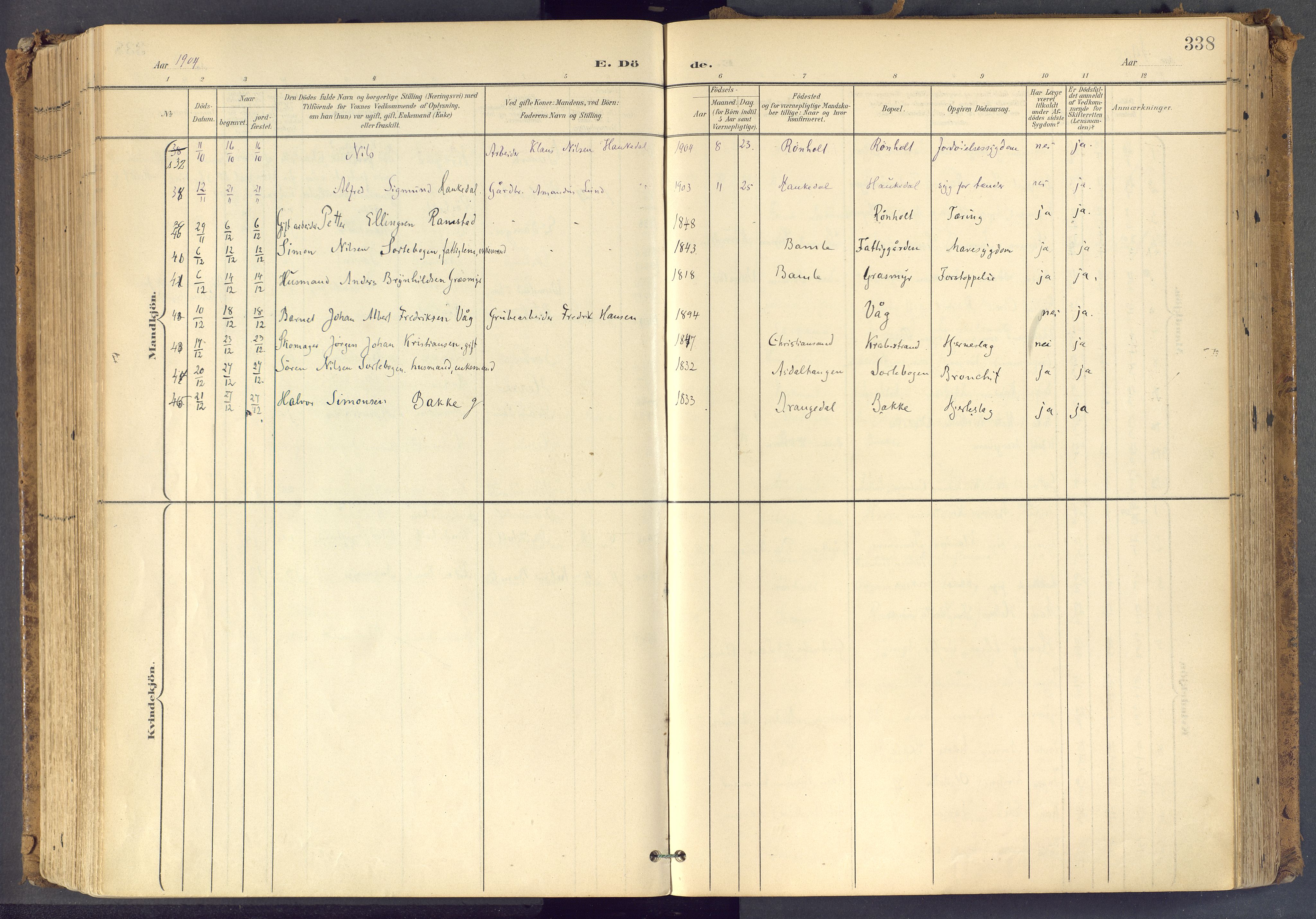 Bamble kirkebøker, SAKO/A-253/F/Fa/L0009: Ministerialbok nr. I 9, 1901-1917, s. 338