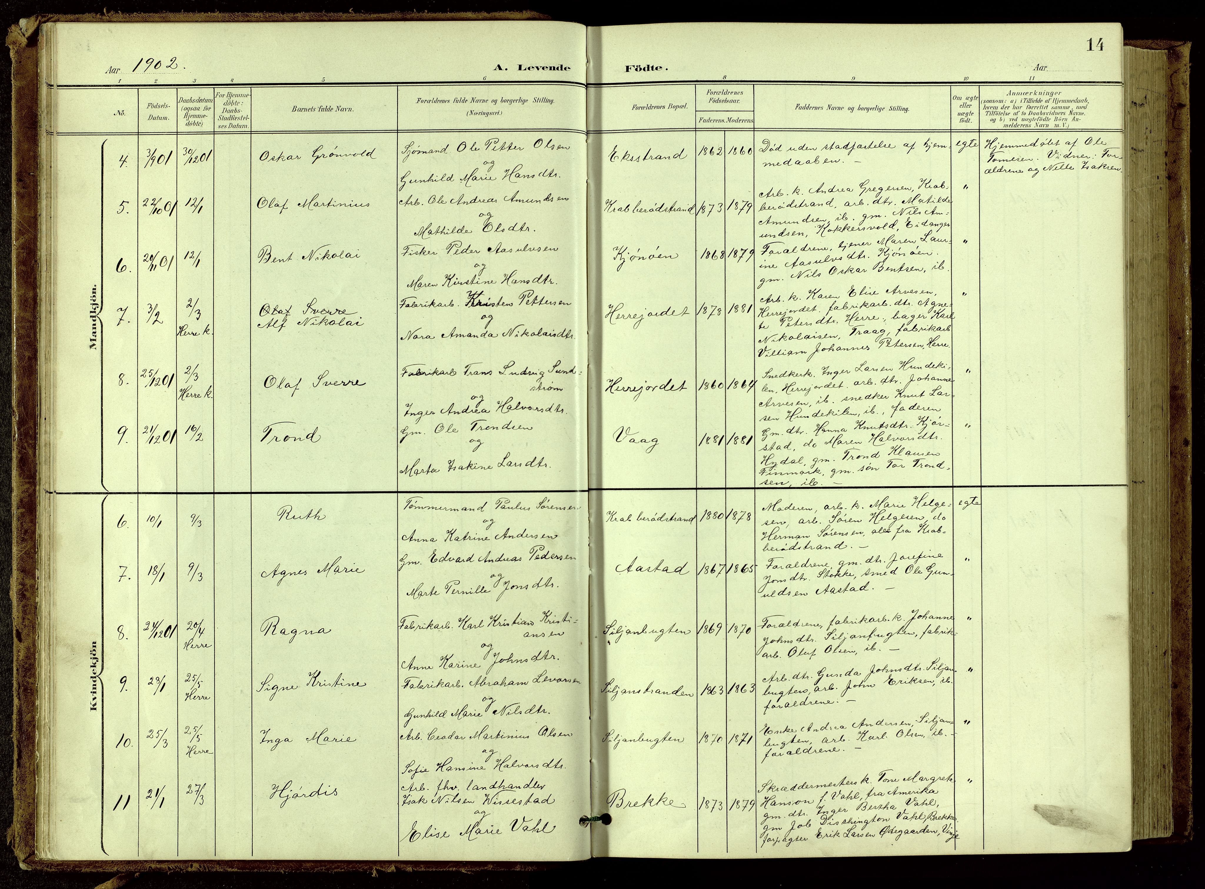Bamble kirkebøker, AV/SAKO-A-253/G/Ga/L0010: Klokkerbok nr. I 10, 1901-1919, s. 14