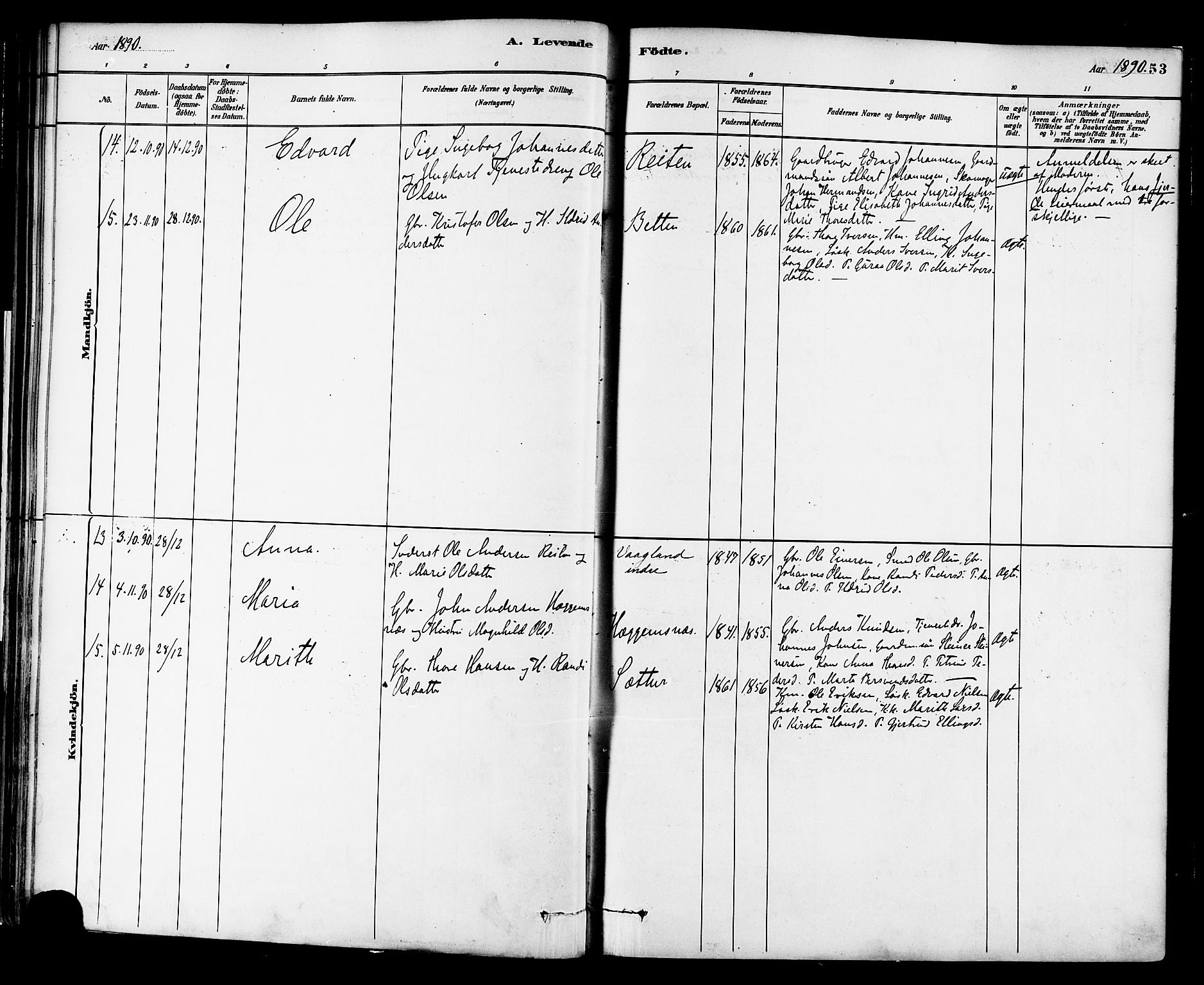 Ministerialprotokoller, klokkerbøker og fødselsregistre - Møre og Romsdal, AV/SAT-A-1454/576/L0885: Ministerialbok nr. 576A03, 1880-1898, s. 53