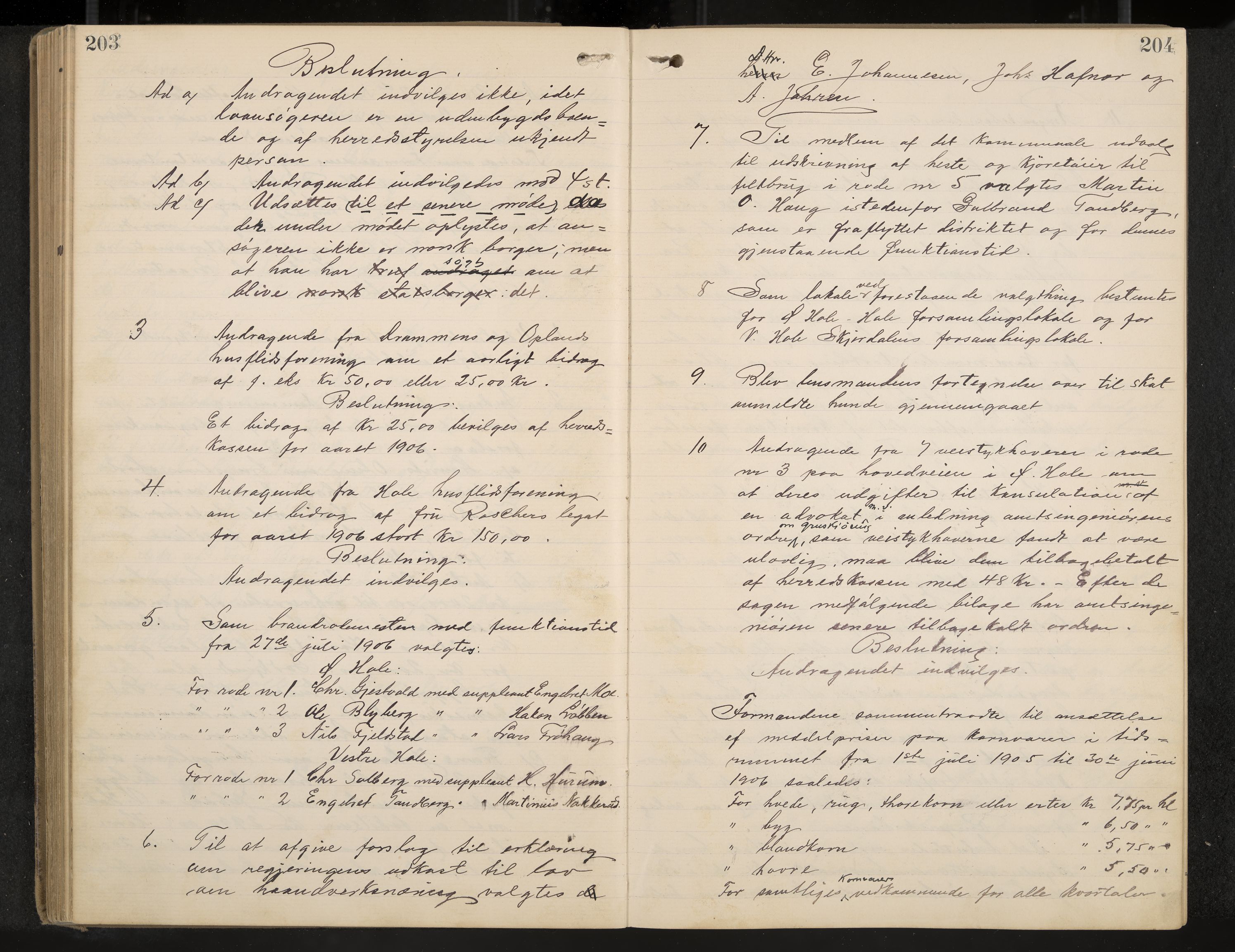 Hole formannskap og sentraladministrasjon, IKAK/0612021-1/A/Aa/L0004: Møtebok med register, 1902-1910, s. 203-204