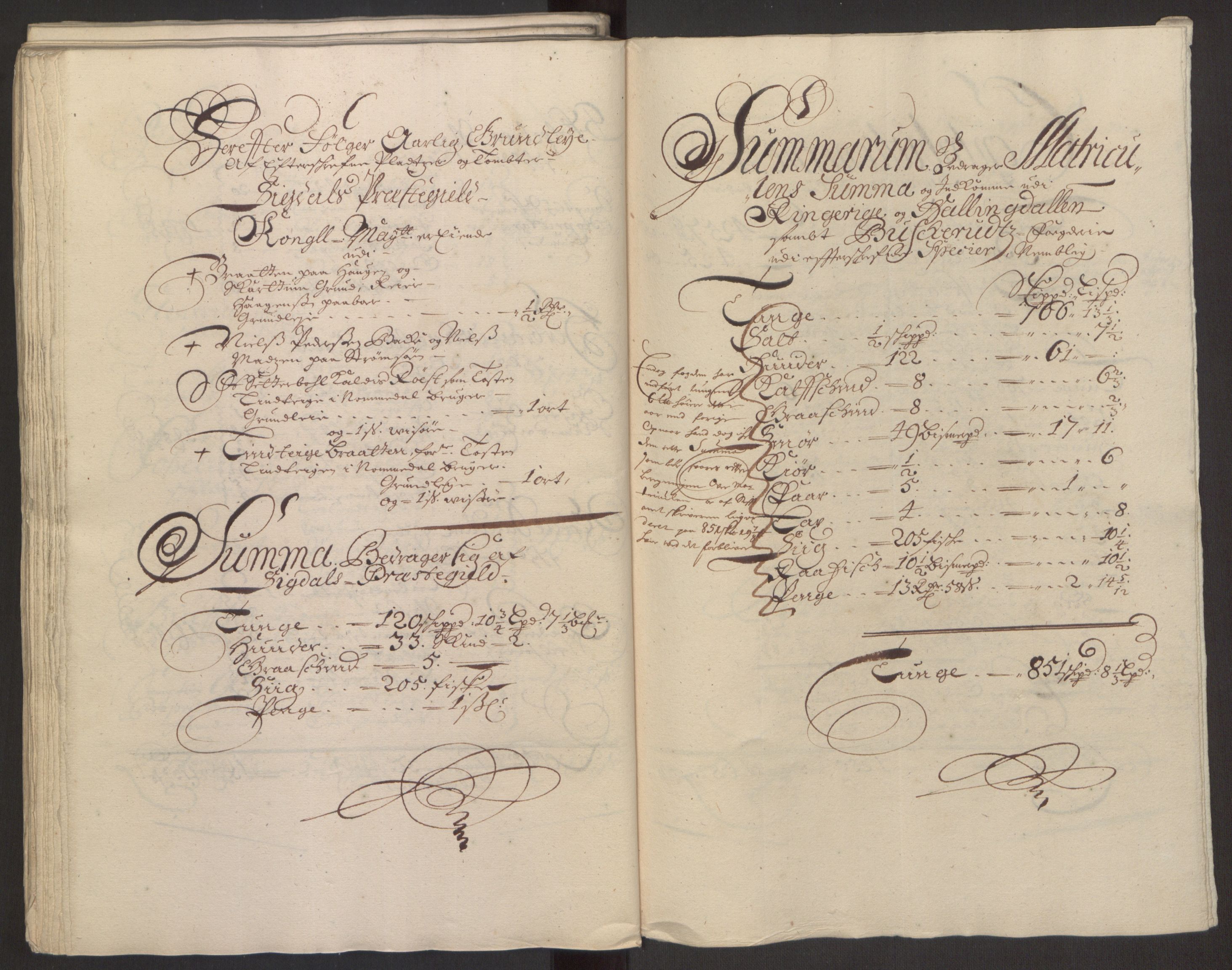 Rentekammeret inntil 1814, Reviderte regnskaper, Fogderegnskap, AV/RA-EA-4092/R22/L1452: Fogderegnskap Ringerike, Hallingdal og Buskerud, 1695, s. 210