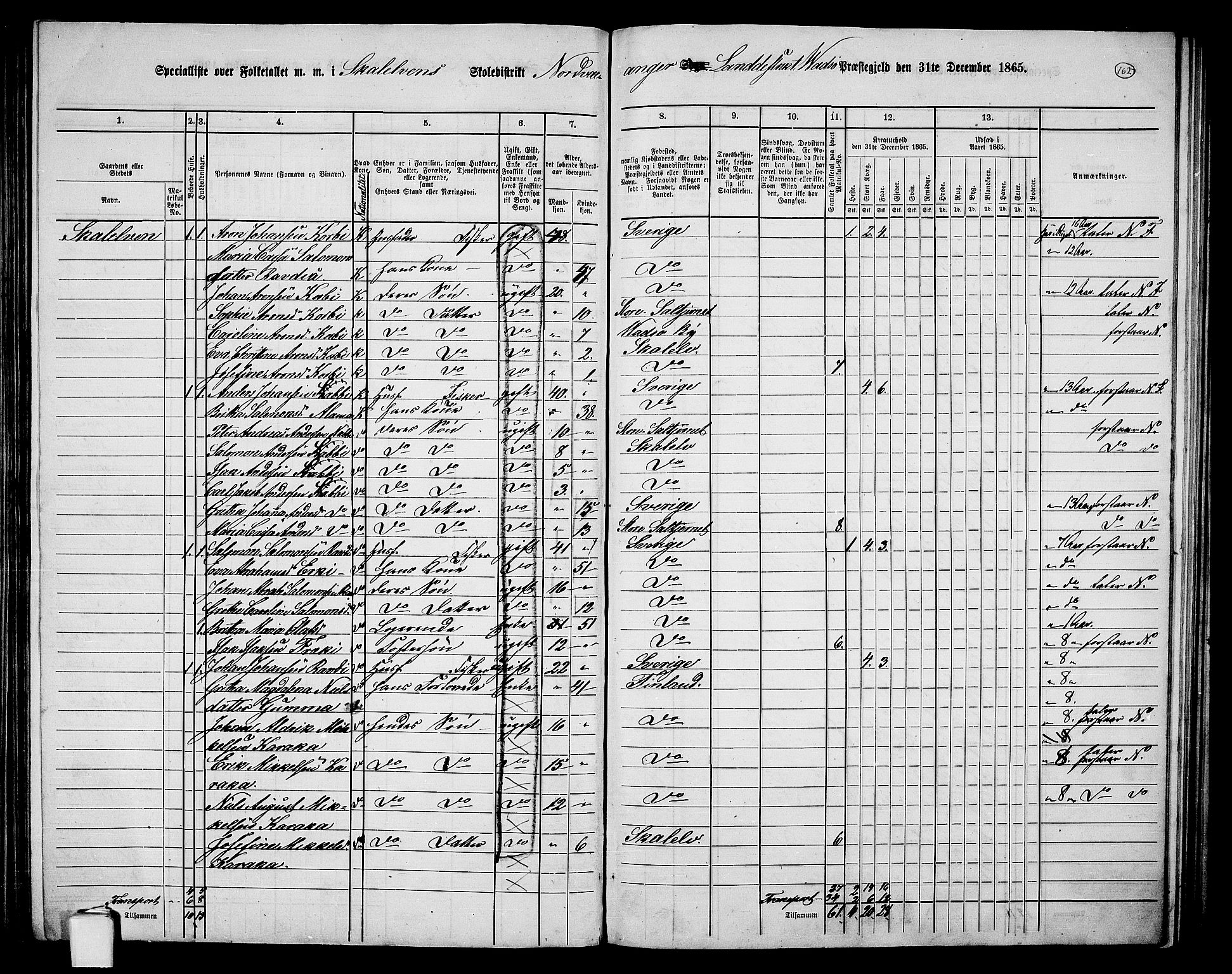 RA, Folketelling 1865 for 2029L Vadsø prestegjeld, Nord-Varanger sokn, 1865, s. 9