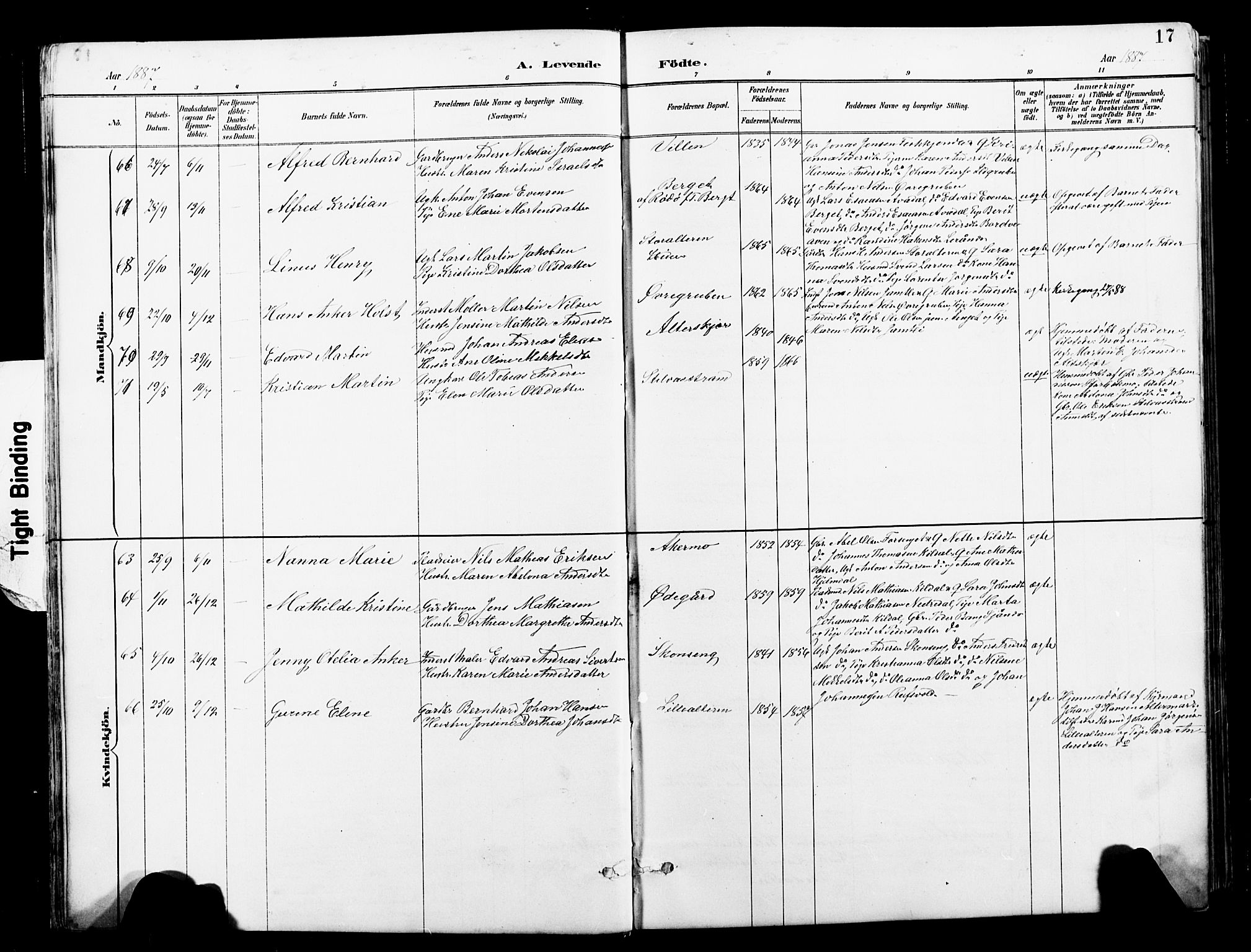 Ministerialprotokoller, klokkerbøker og fødselsregistre - Nordland, AV/SAT-A-1459/827/L0421: Klokkerbok nr. 827C10, 1887-1906, s. 17