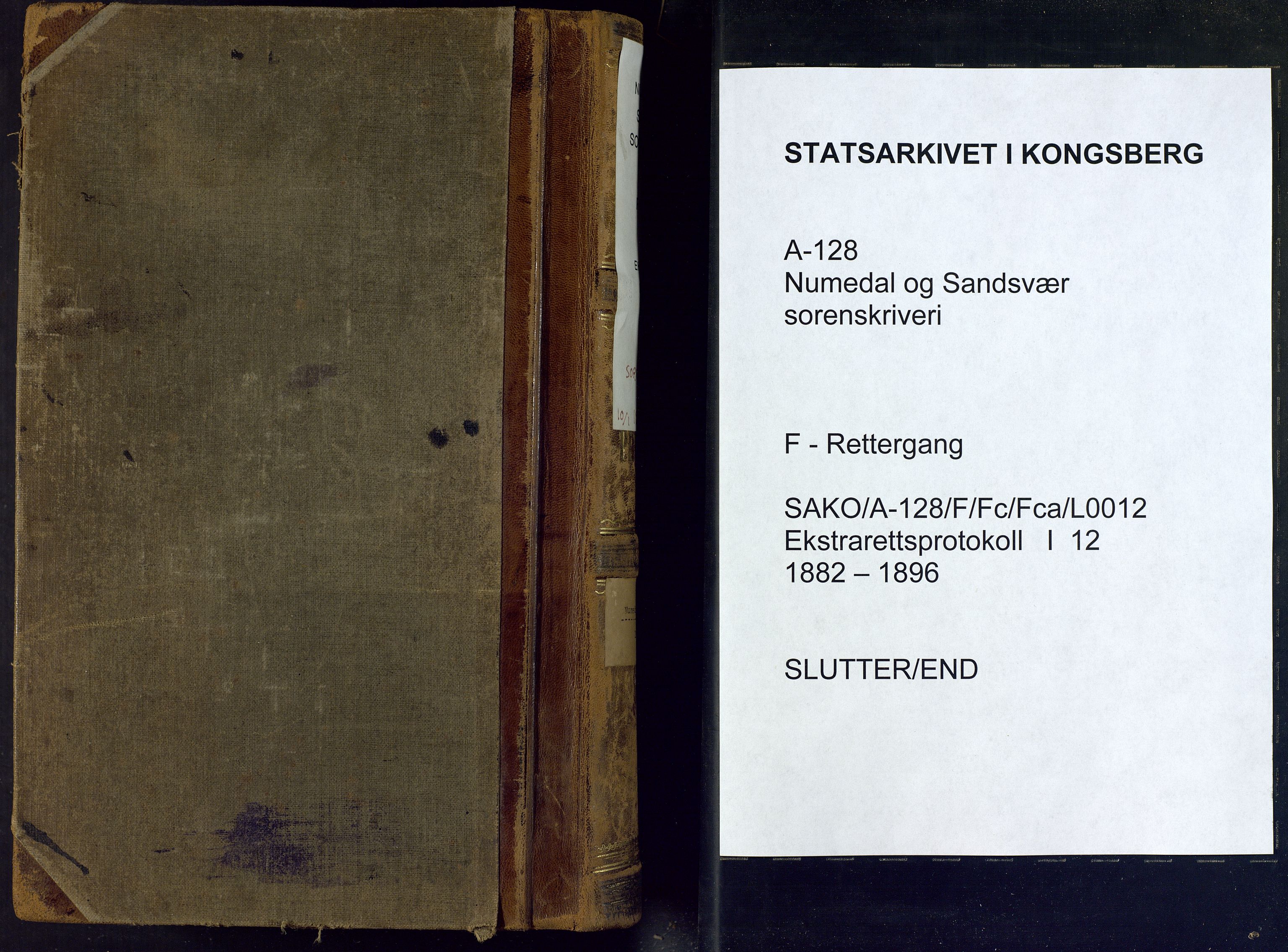 Numedal og Sandsvær sorenskriveri, AV/SAKO-A-128/F/Fc/Fca/L0012: Ekstrarettsprotokoll , 1882-1896