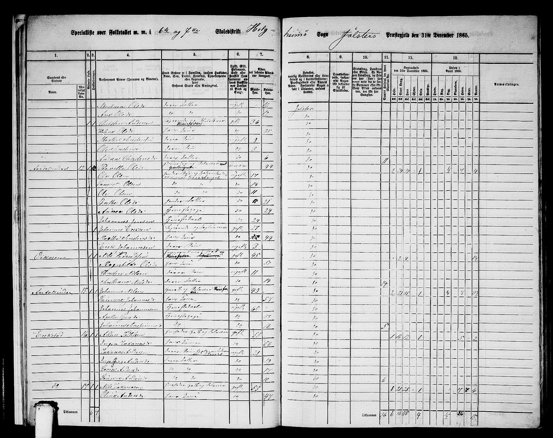 RA, Folketelling 1865 for 1431P Jølster prestegjeld, 1865, s. 15