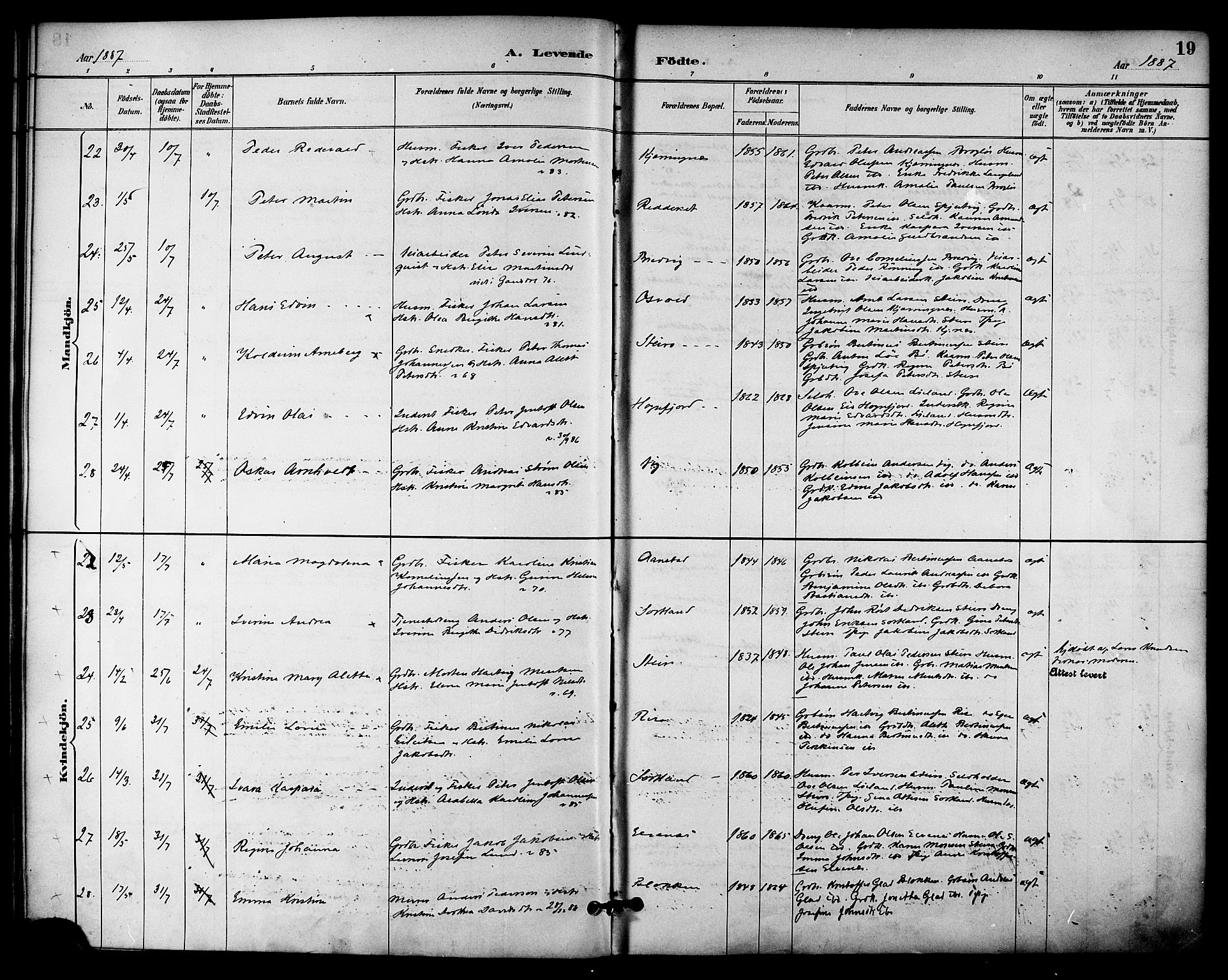 Ministerialprotokoller, klokkerbøker og fødselsregistre - Nordland, AV/SAT-A-1459/895/L1371: Ministerialbok nr. 895A06, 1885-1894, s. 19