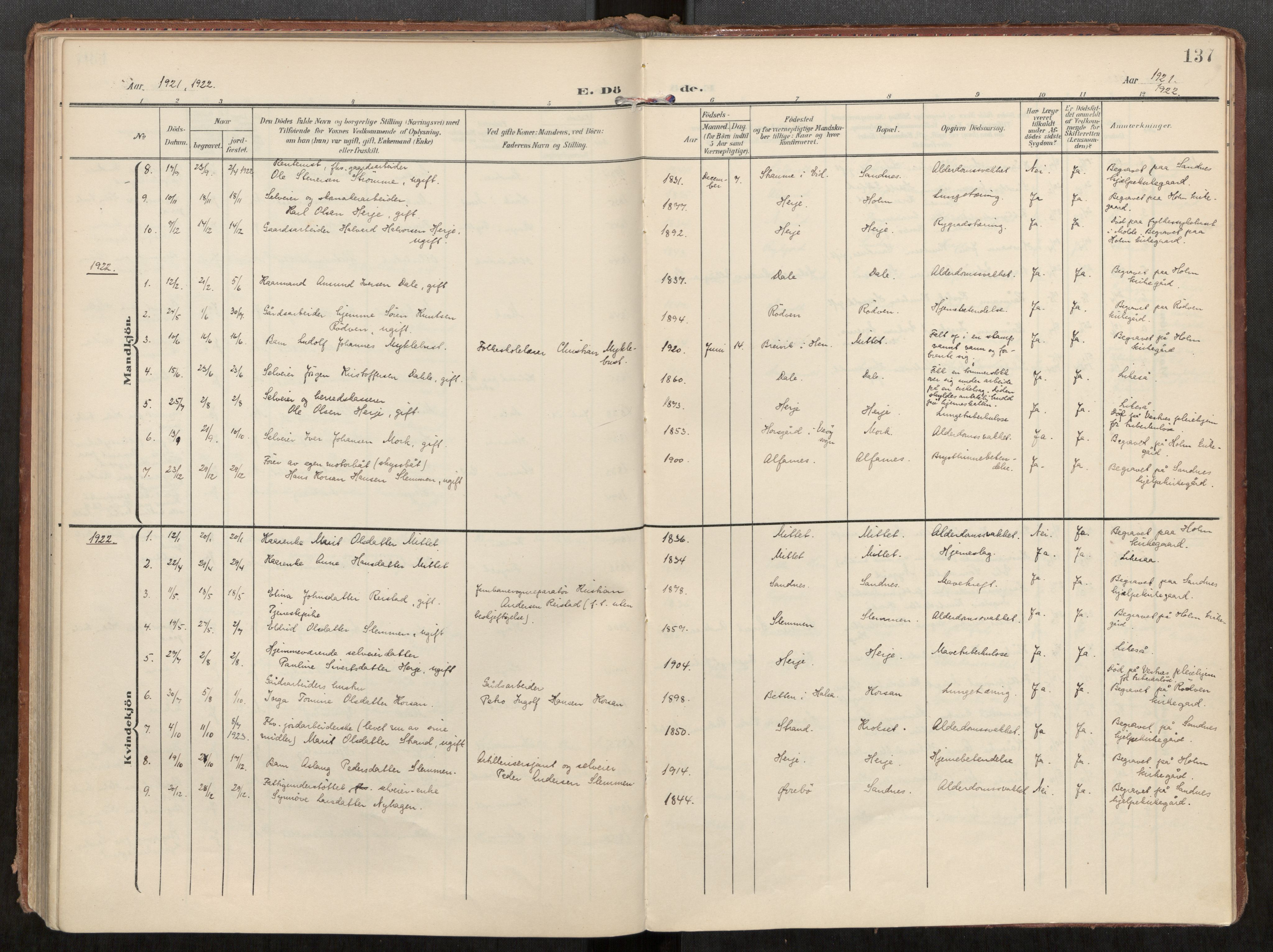 Ministerialprotokoller, klokkerbøker og fødselsregistre - Møre og Romsdal, AV/SAT-A-1454/549/L0618: Ministerialbok nr. 549A01, 1906-1927, s. 137