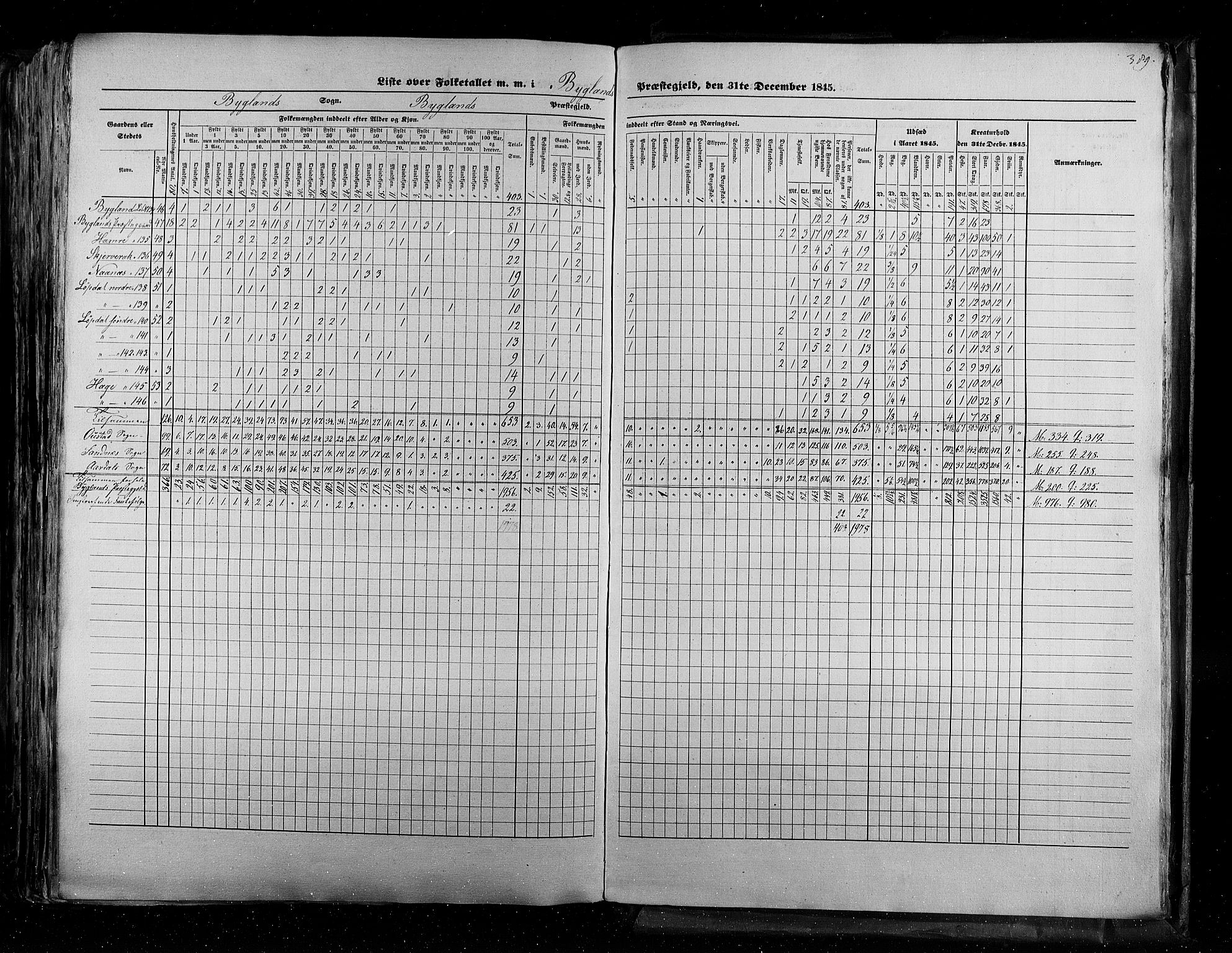 RA, Folketellingen 1845, bind 5: Bratsberg amt og Nedenes og Råbyggelaget amt, 1845, s. 389