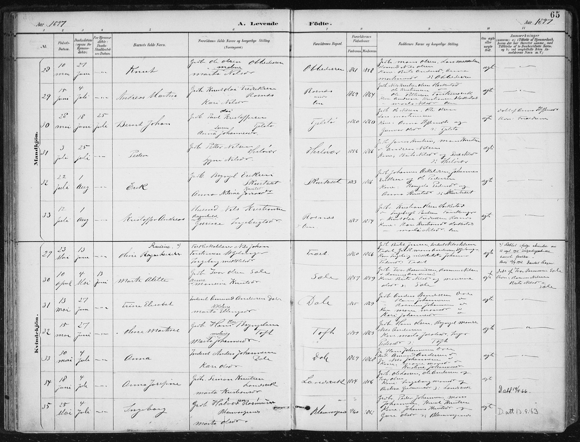 Herdla Sokneprestembete, AV/SAB-A-75701/H/Haa: Ministerialbok nr. A 4, 1891-1905, s. 65