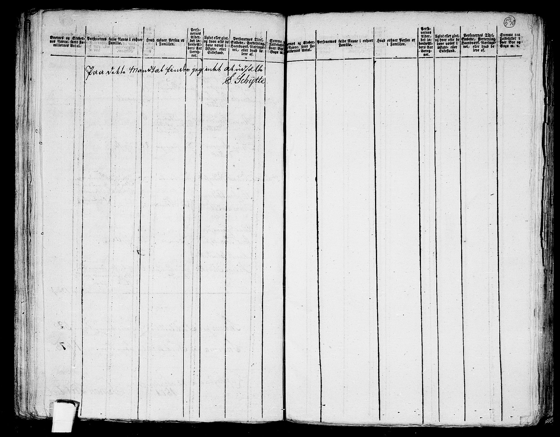 RA, Folketelling 1801 for 1848P Steigen prestegjeld, 1801, s. 529b-530a