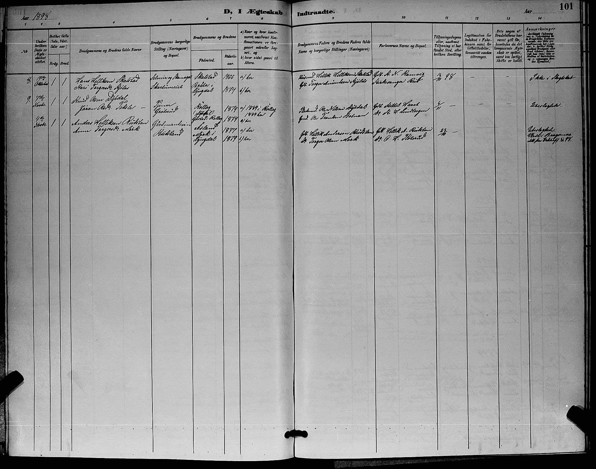 Flesberg kirkebøker, AV/SAKO-A-18/G/Ga/L0004: Klokkerbok nr. I 4 /1, 1890-1898, s. 101