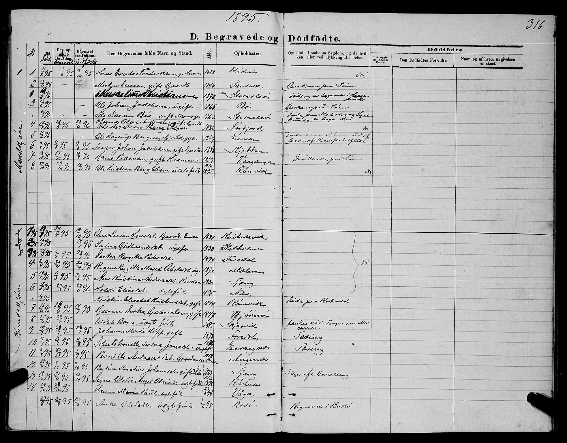 Ministerialprotokoller, klokkerbøker og fødselsregistre - Nordland, SAT/A-1459/841/L0620: Klokkerbok nr. 841C04, 1877-1896, s. 316