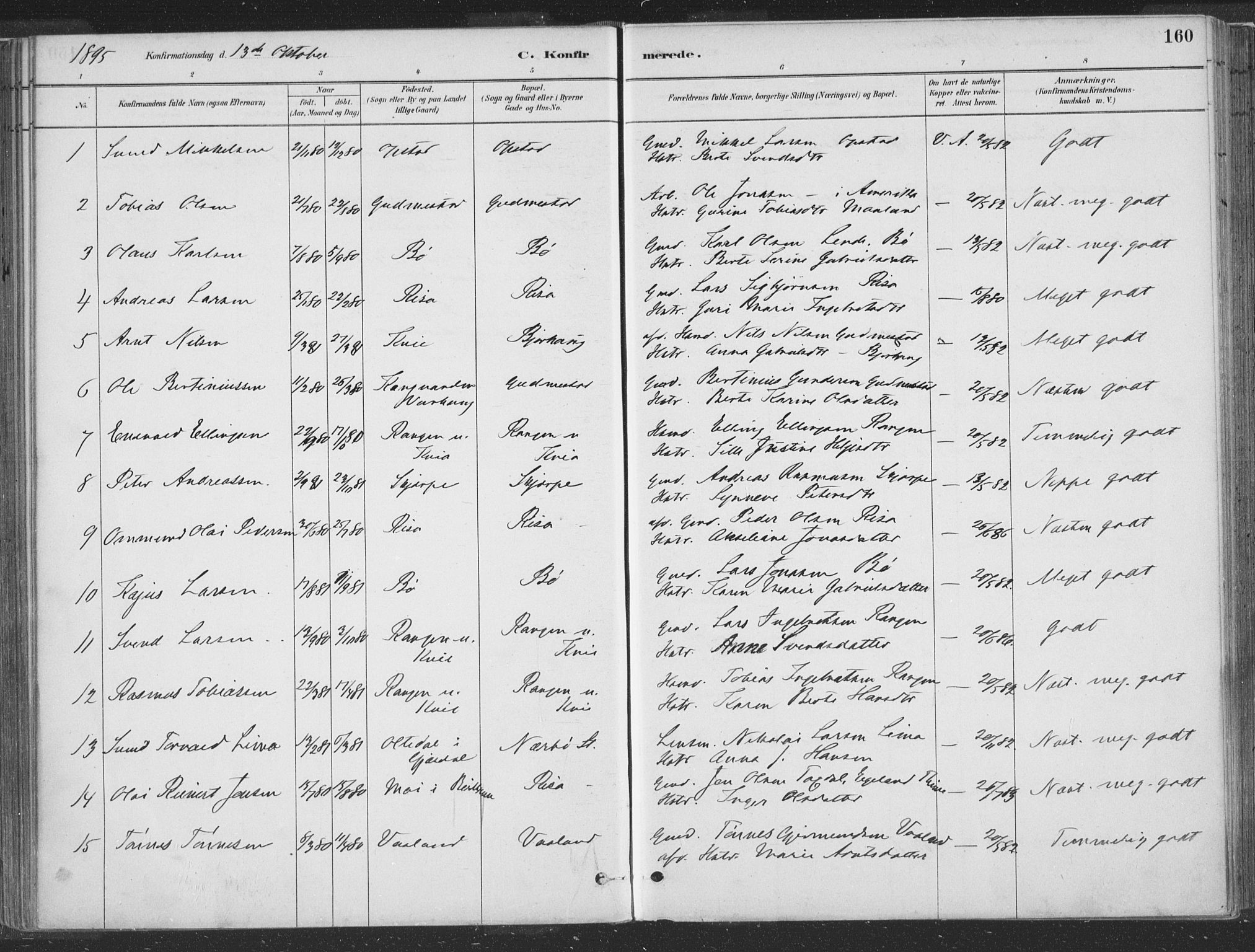 Hå sokneprestkontor, AV/SAST-A-101801/001/30BA/L0010: Ministerialbok nr. A 9, 1879-1896, s. 160