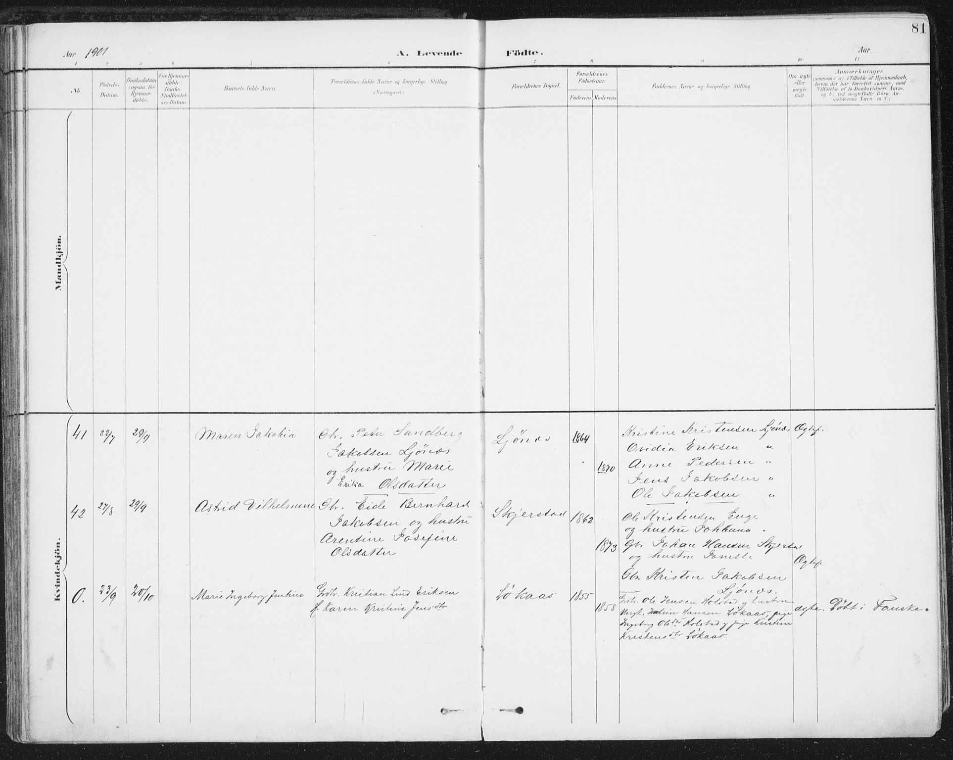 Ministerialprotokoller, klokkerbøker og fødselsregistre - Nordland, SAT/A-1459/852/L0741: Ministerialbok nr. 852A11, 1894-1917, s. 81