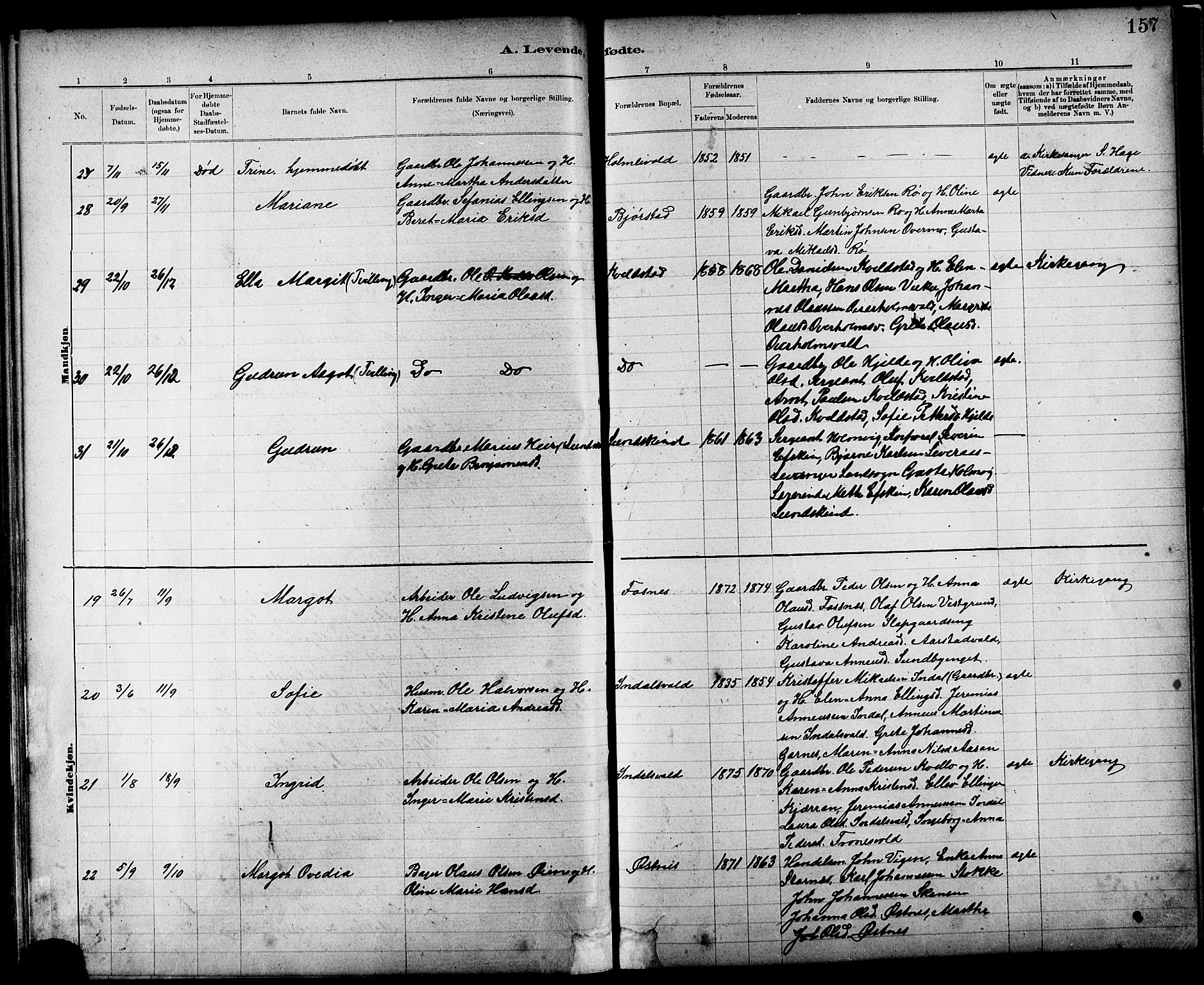 Ministerialprotokoller, klokkerbøker og fødselsregistre - Nord-Trøndelag, SAT/A-1458/724/L0267: Klokkerbok nr. 724C03, 1879-1898, s. 157
