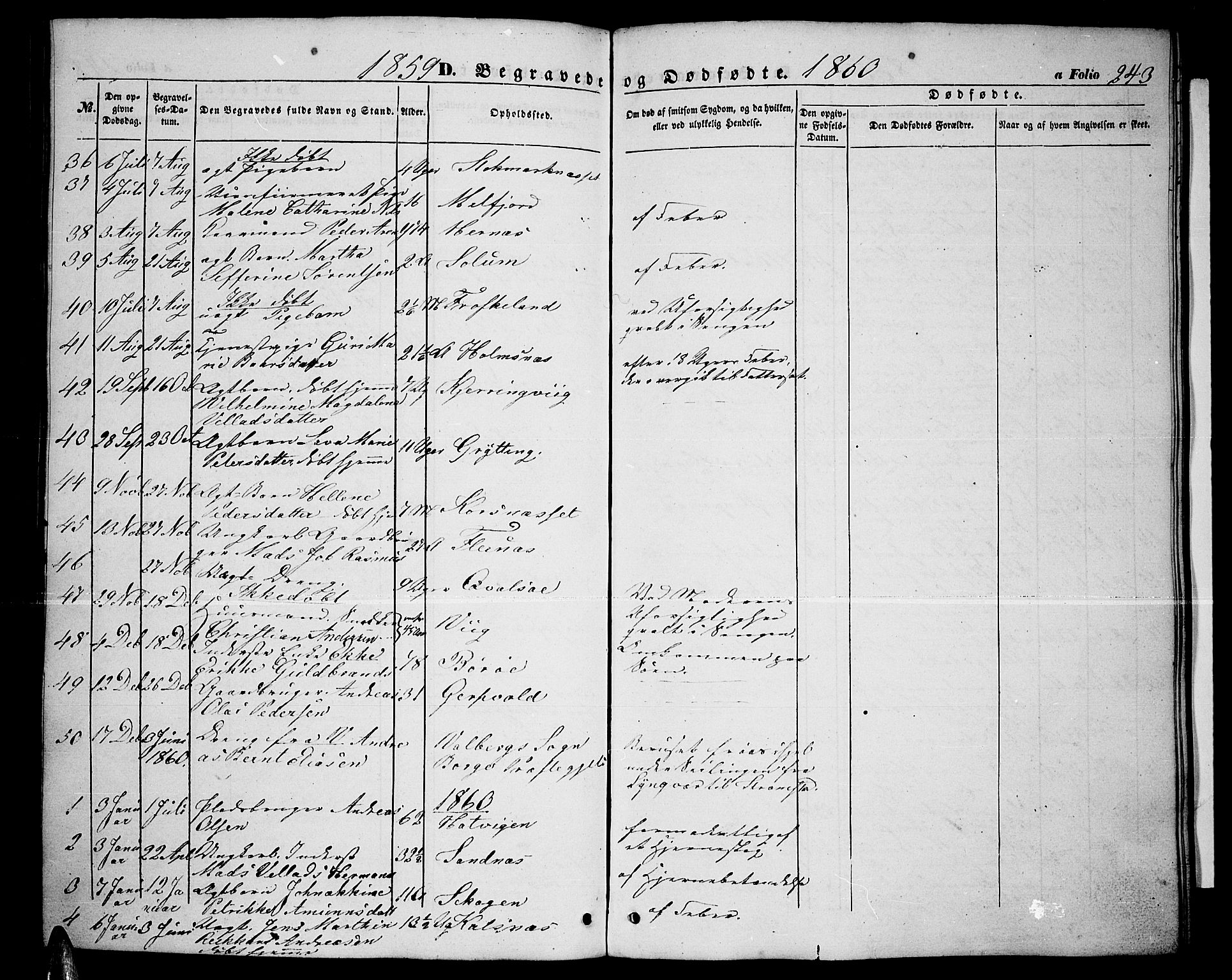 Ministerialprotokoller, klokkerbøker og fødselsregistre - Nordland, AV/SAT-A-1459/888/L1265: Klokkerbok nr. 888C03, 1850-1863, s. 243