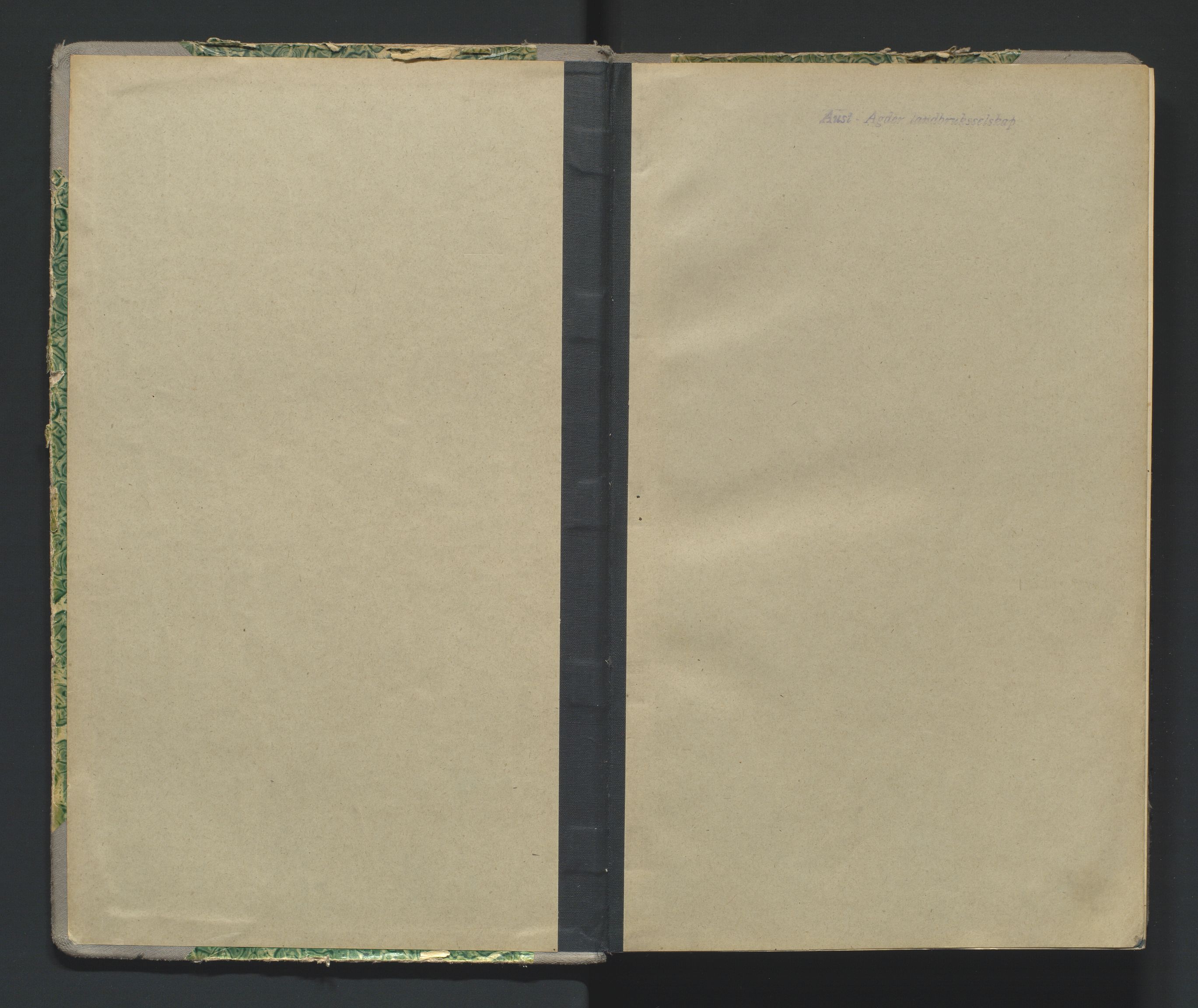 Fylkeslandbruksselskapet i Aust-Agder, AV/SAK-1512-0002/A/Aa/L0001/0005: Forhandlingsprotokoller / Møtebok for Aust-Agder Landbruksselskap, 1925-1939